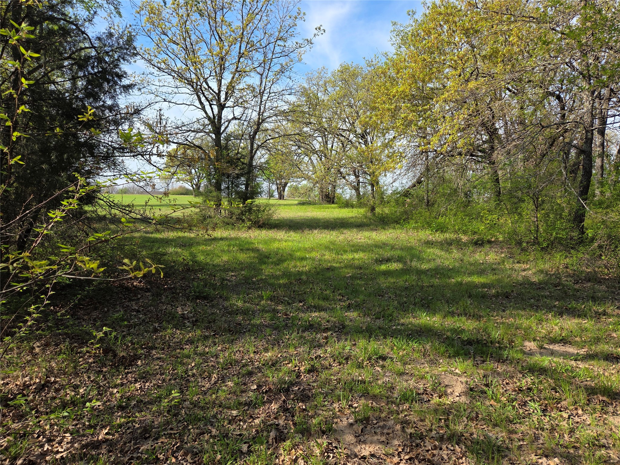 Lot 97 Tonkawa Trail Corsicana TX 75109