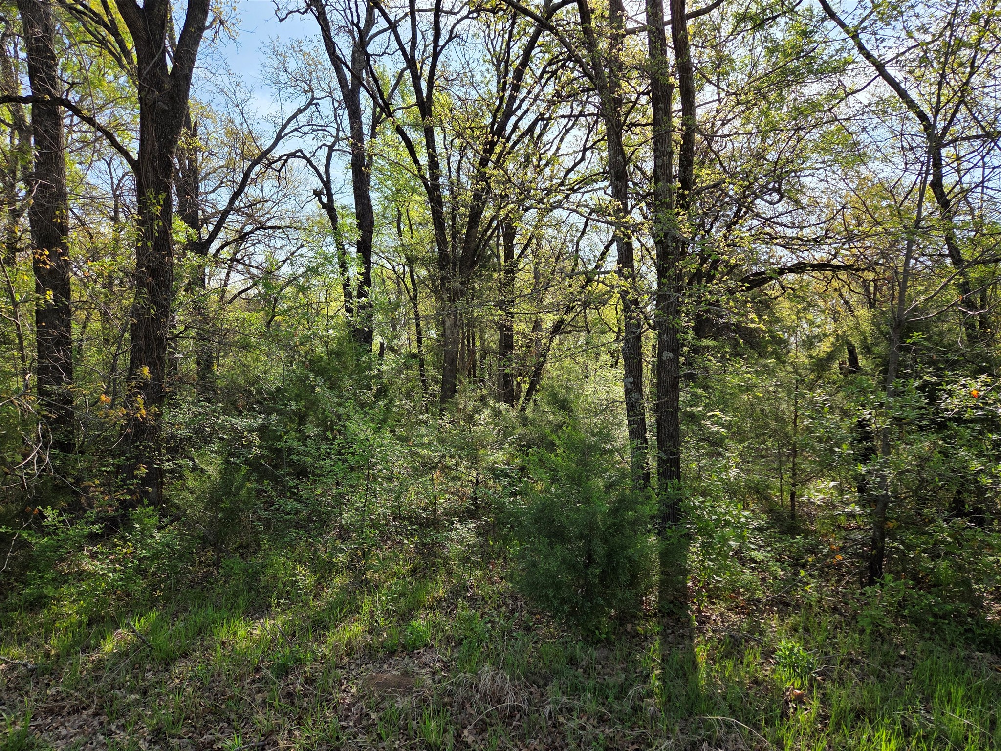 Lot 97 Tonkawa Trail Corsicana TX 75109