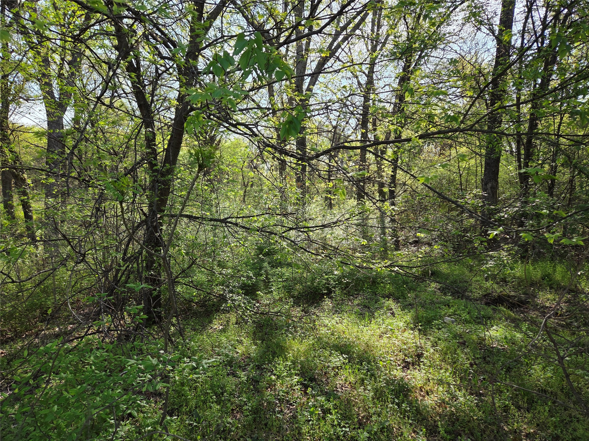 Lot 97 Tonkawa Trail Corsicana TX 75109
