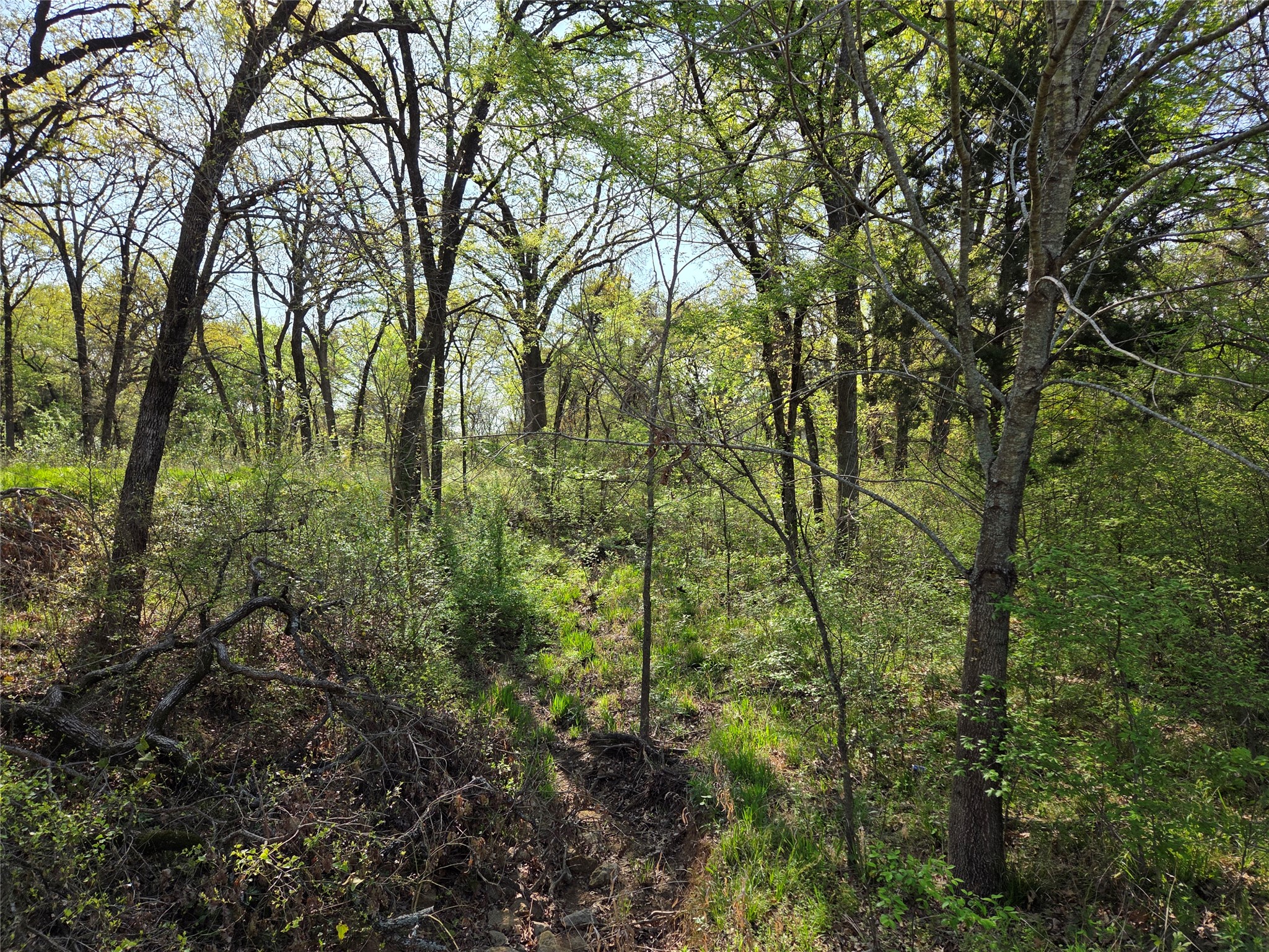 Lot 97 Tonkawa Trail Corsicana TX 75109