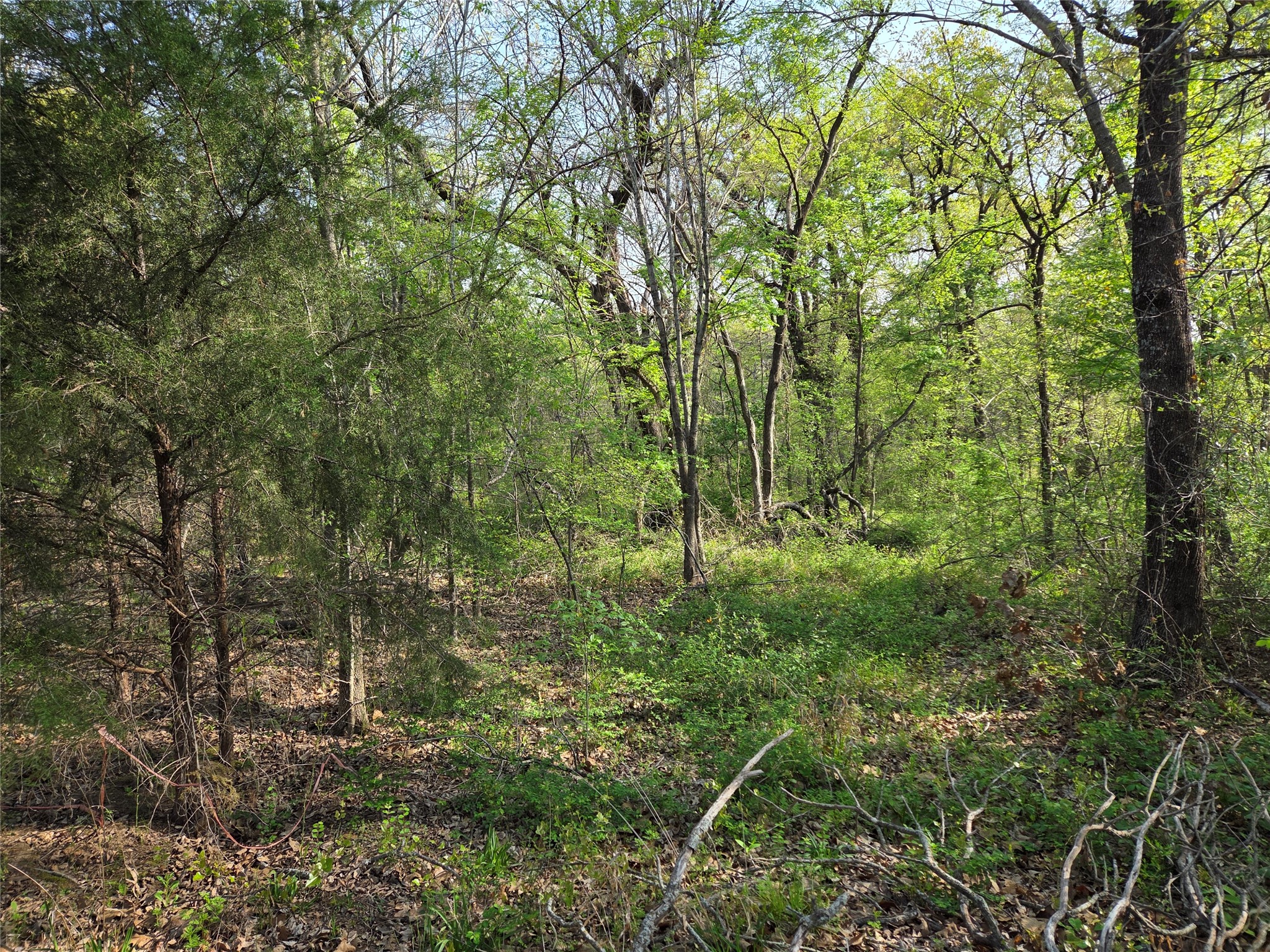 Lot 97 Tonkawa Trail Corsicana TX 75109