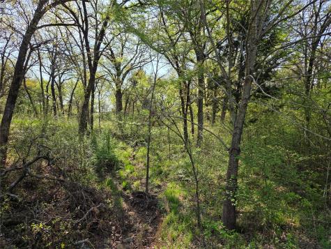 Lot 97 Tonkawa Trail Corsicana TX 75109