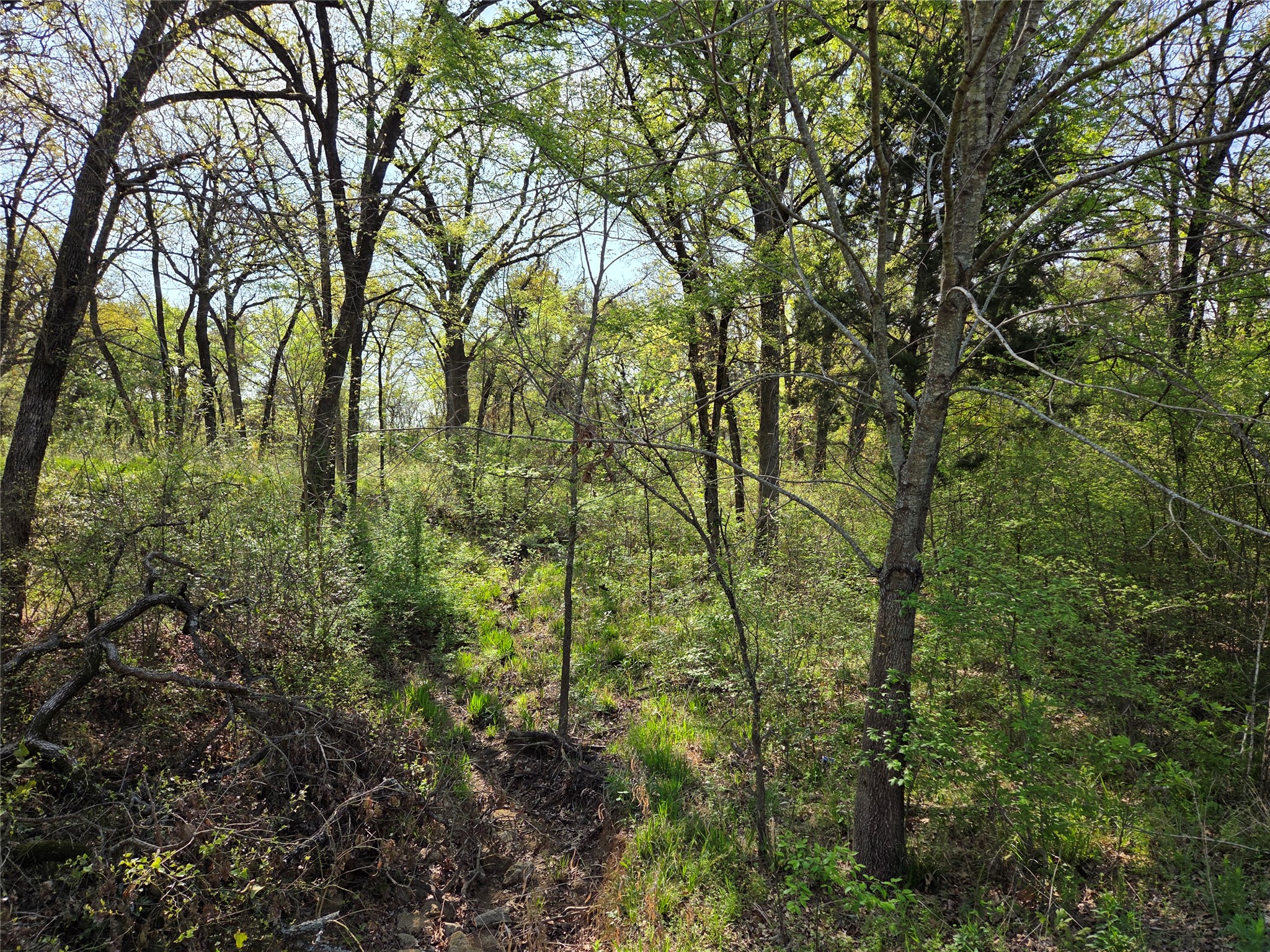 Lot 97 Tonkawa Trail Corsicana TX 75109