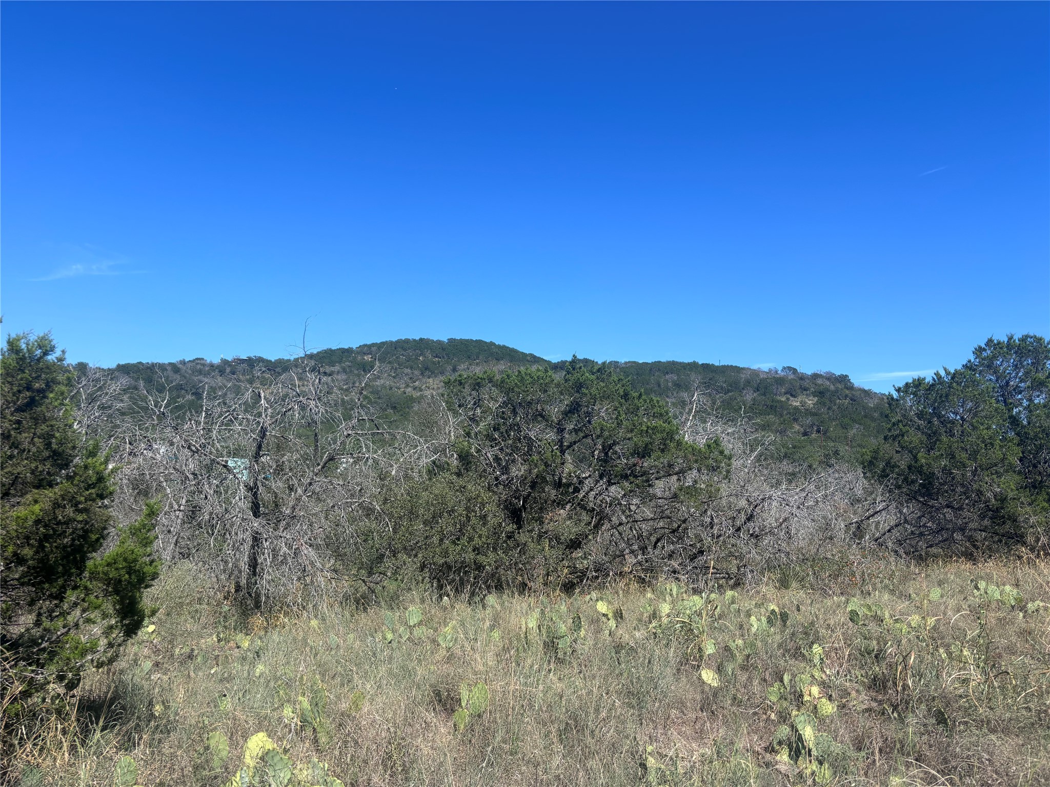Tbd Hill Street Burnet TX 78611