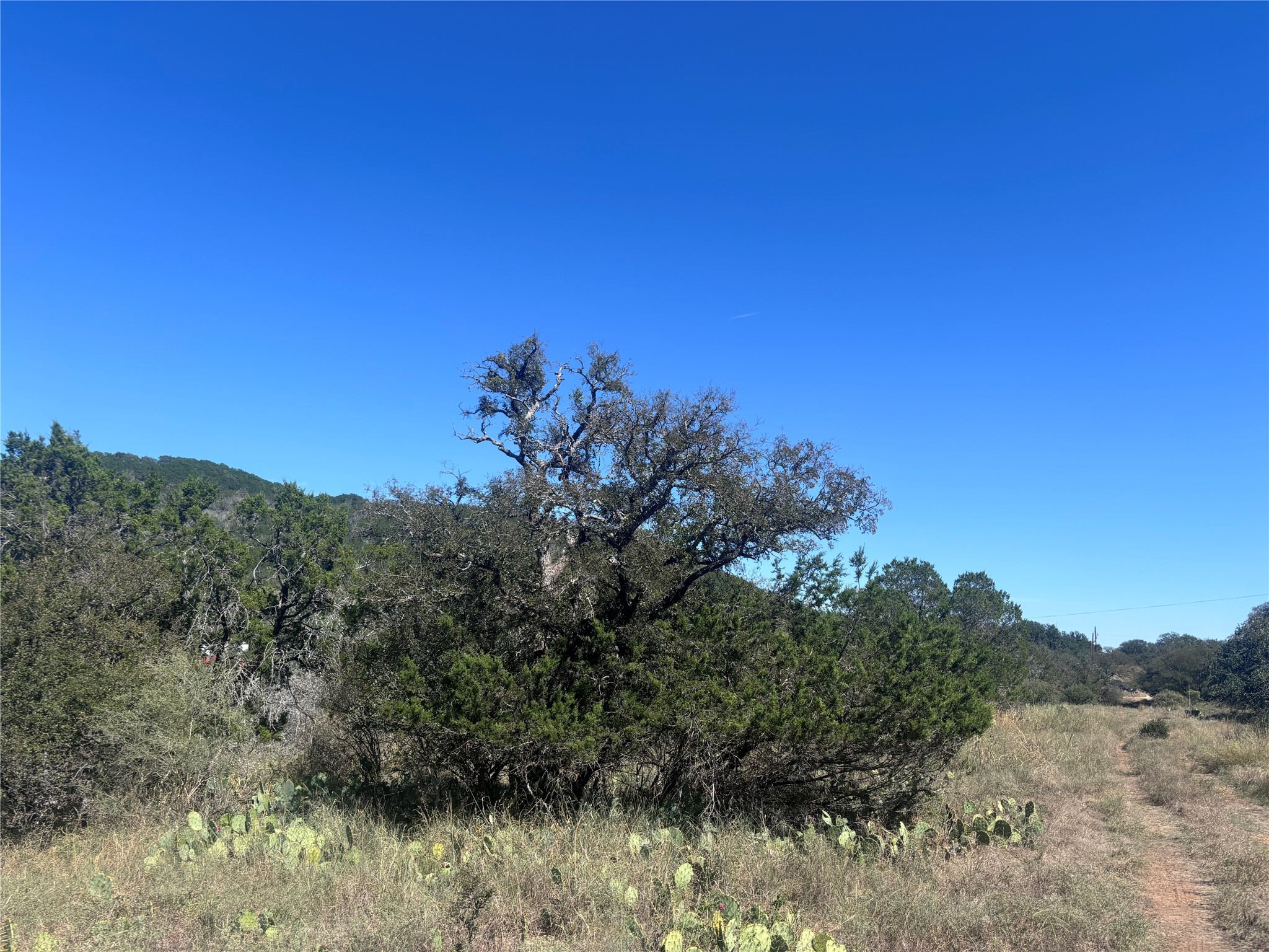 Tbd Hill Street Burnet TX 78611