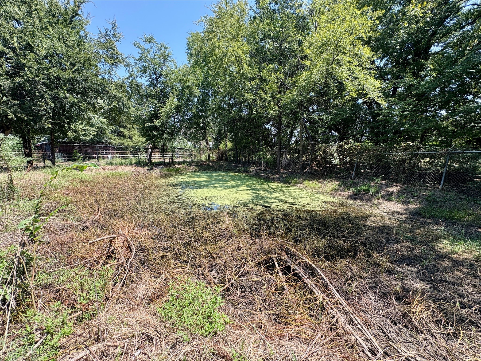 Tbd Fm 1255 Canton TX 75103