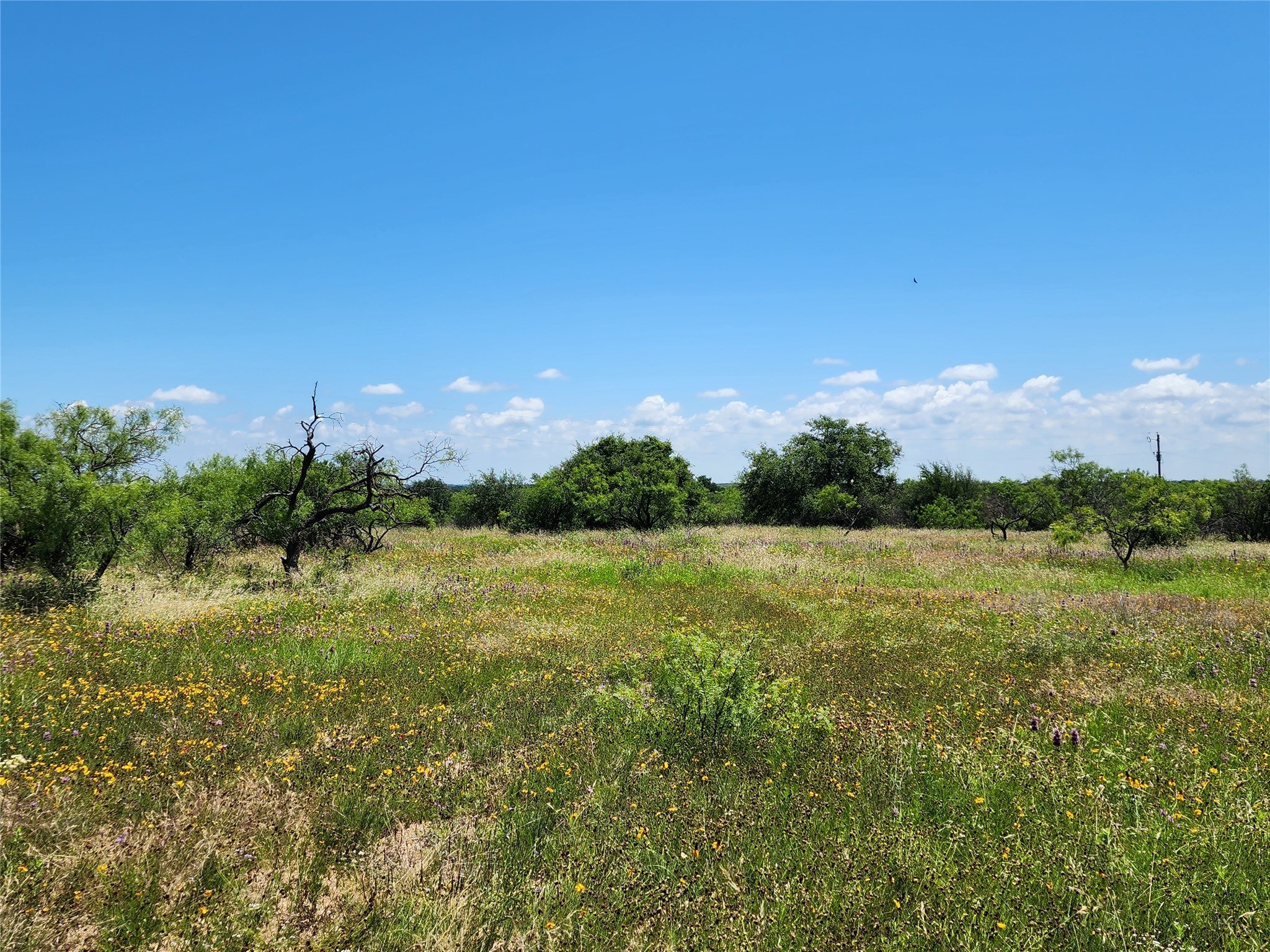 Tbd County Road 127 Rising Star TX 76471