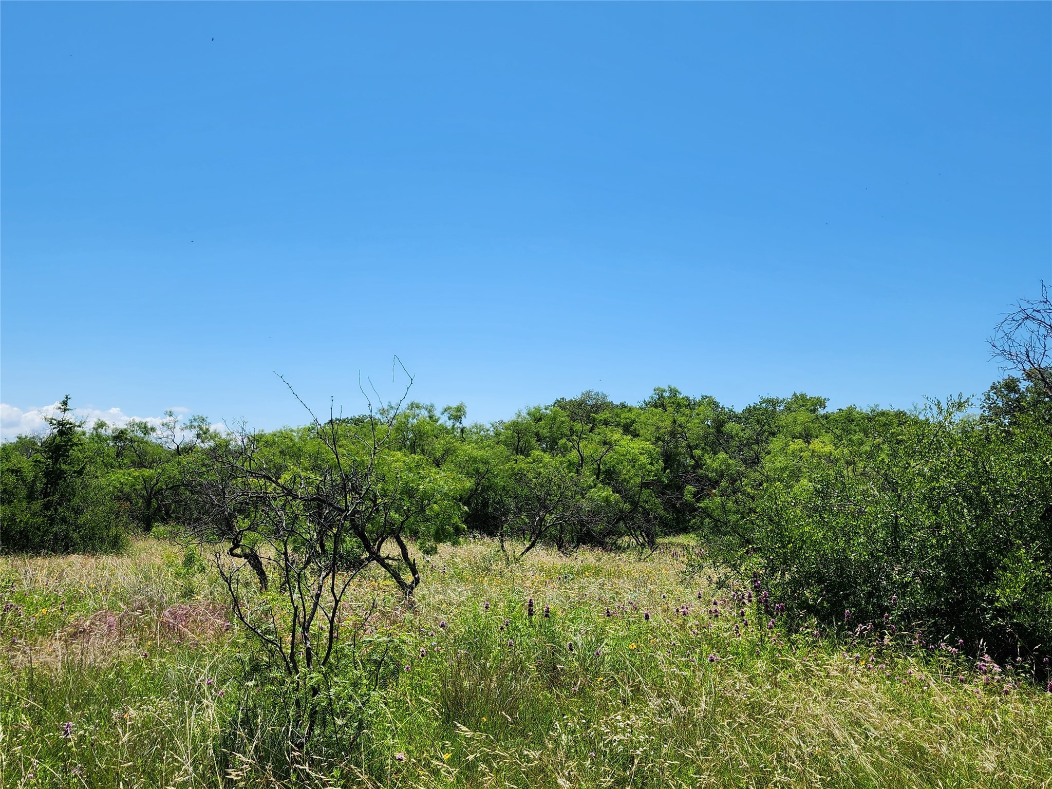 Tbd County Road 127 Rising Star TX 76471