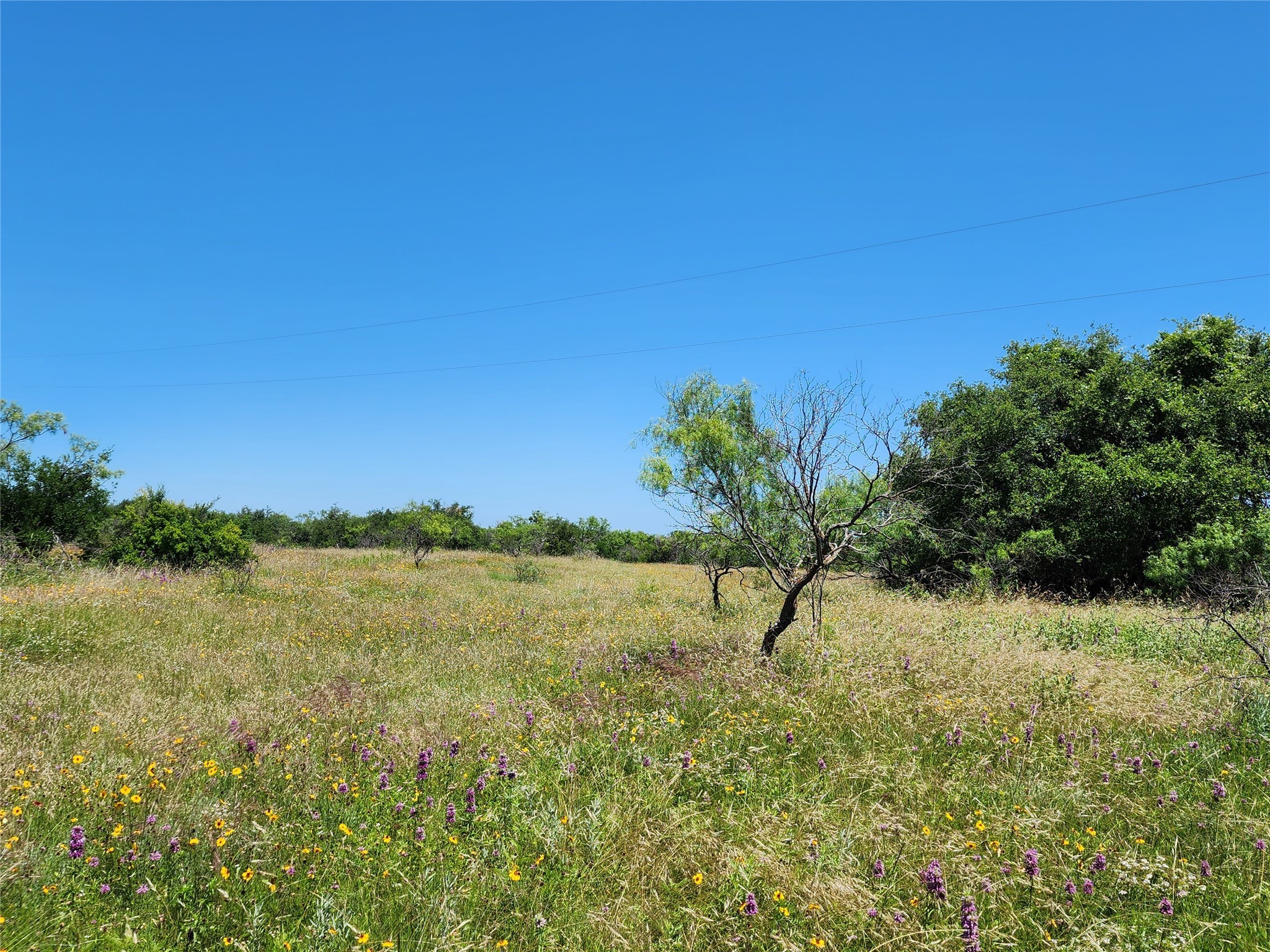 Tbd County Road 127 Rising Star TX 76471