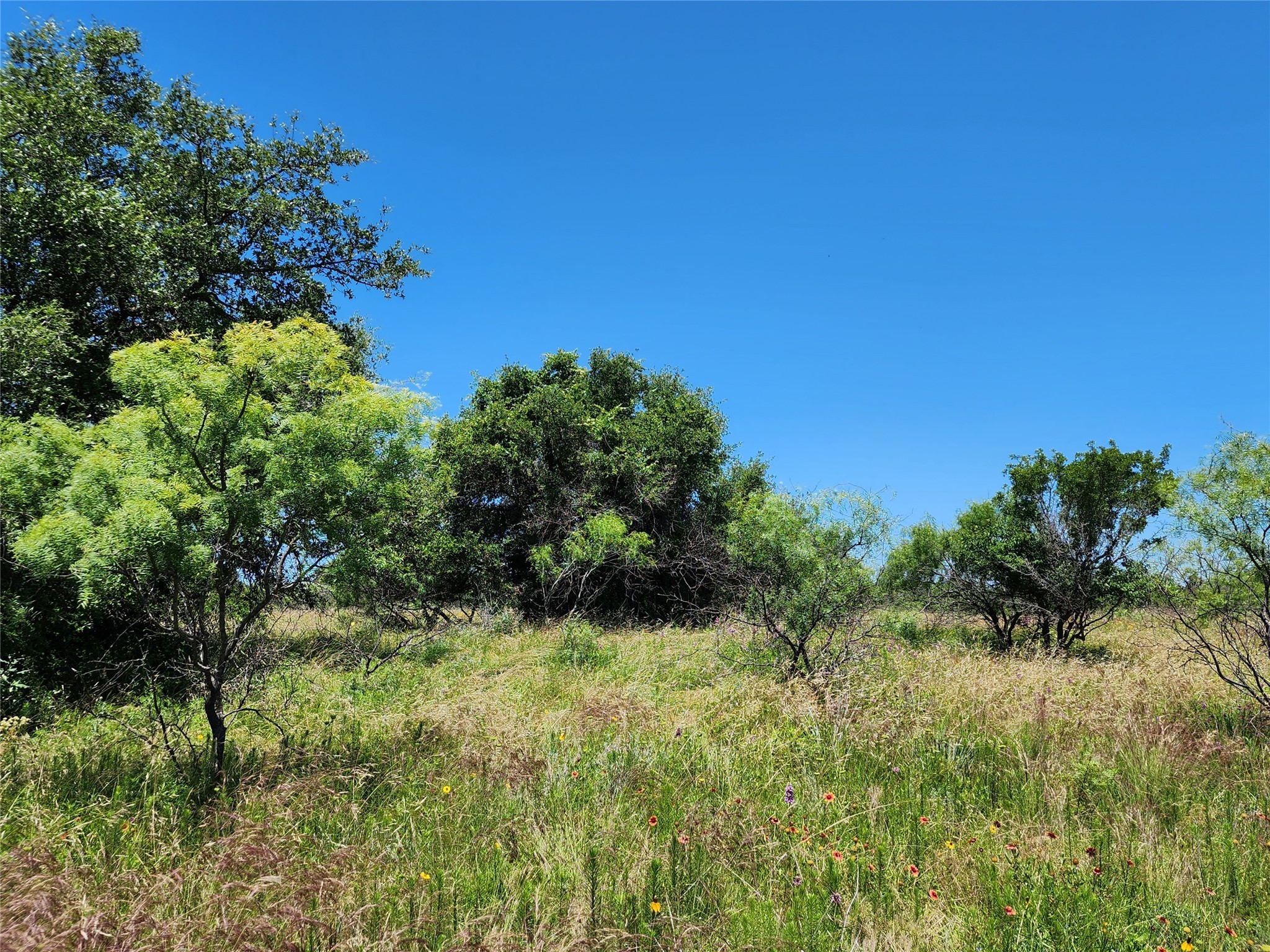 Tbd County Road 127 Rising Star TX 76471