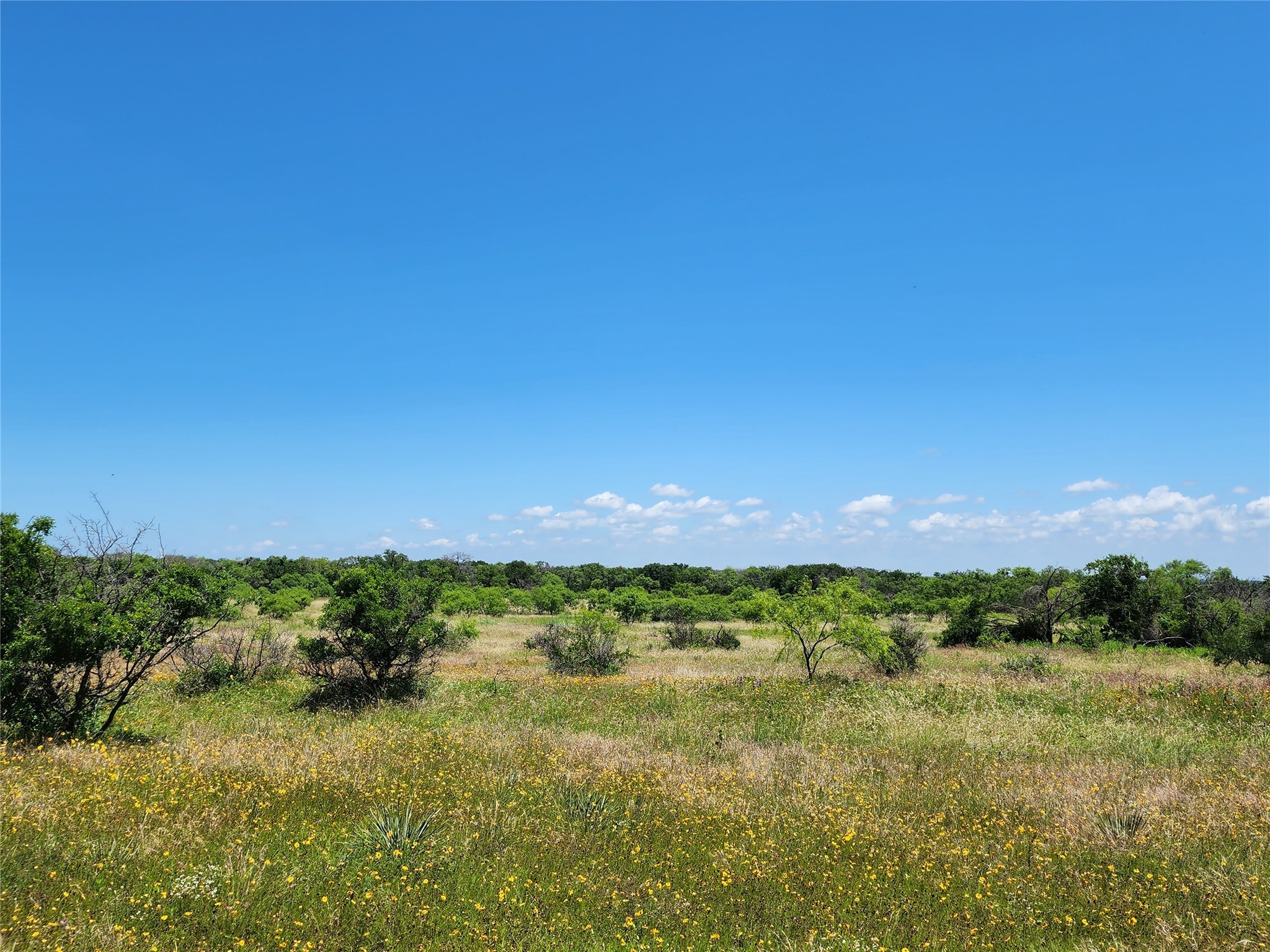 Tbd County Road 127 Rising Star TX 76471