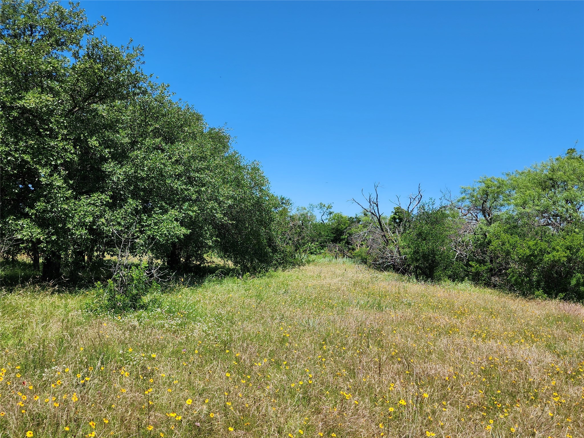 Tbd County Road 127 Rising Star TX 76471