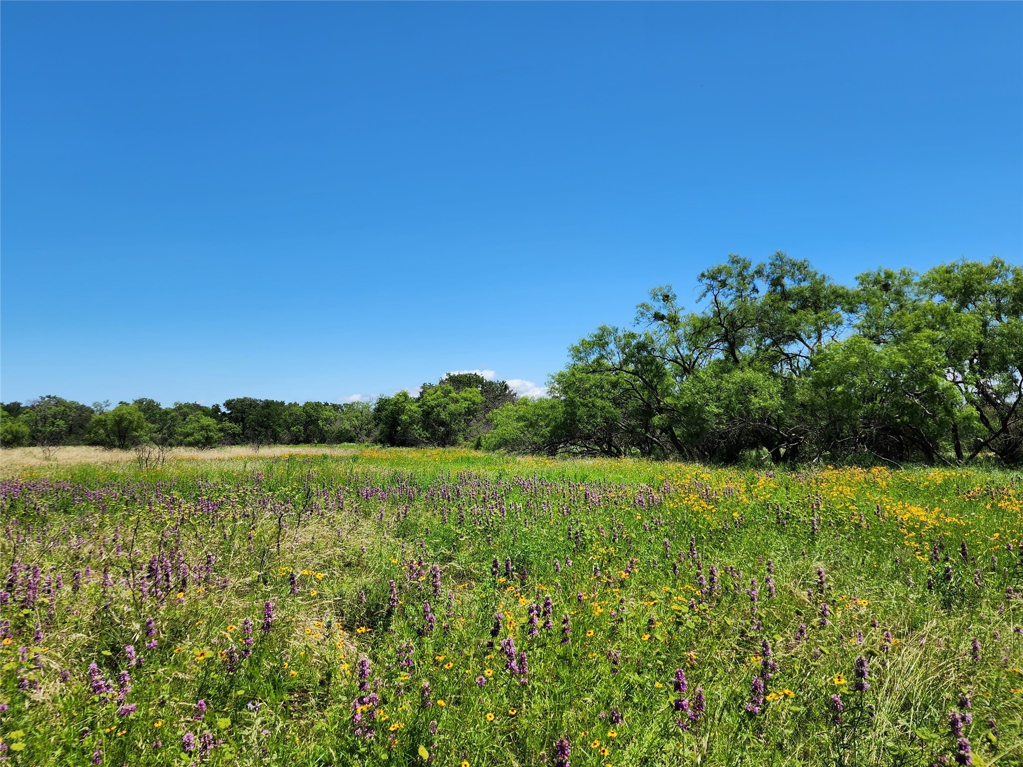 Tbd County Road 127 Rising Star TX 76471