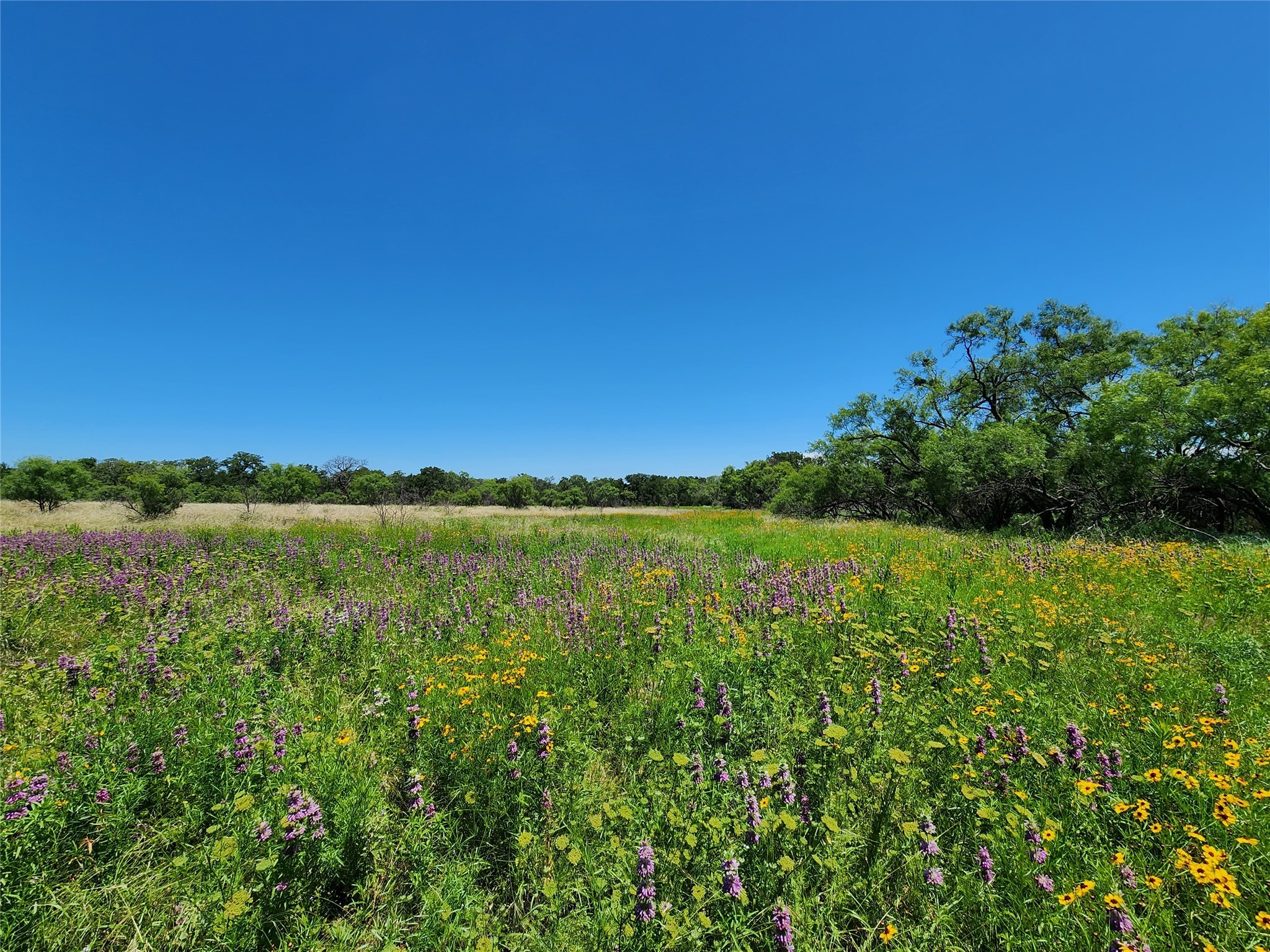 Tbd County Road 127 Rising Star TX 76471