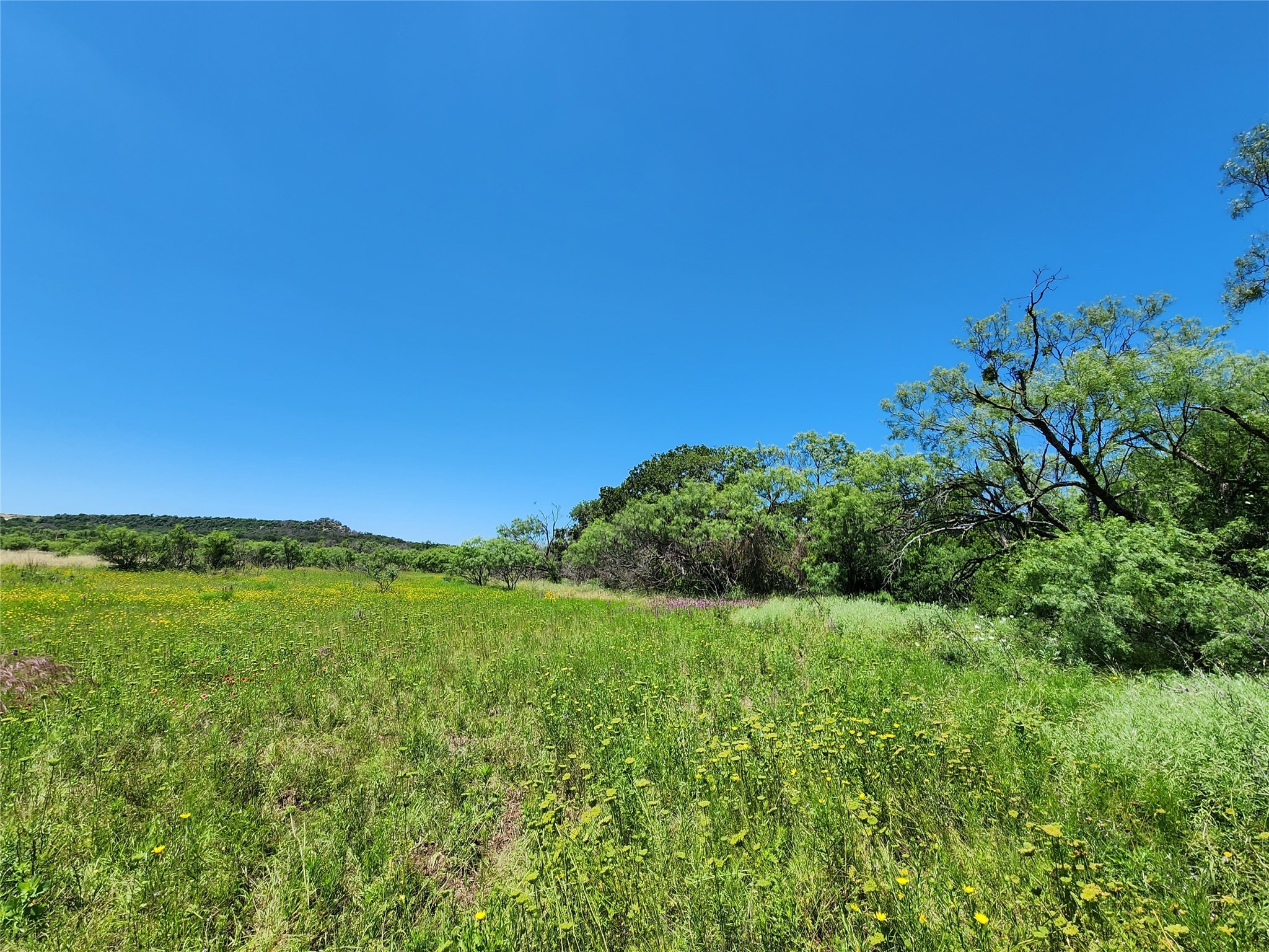 Tbd County Road 127 Rising Star TX 76471