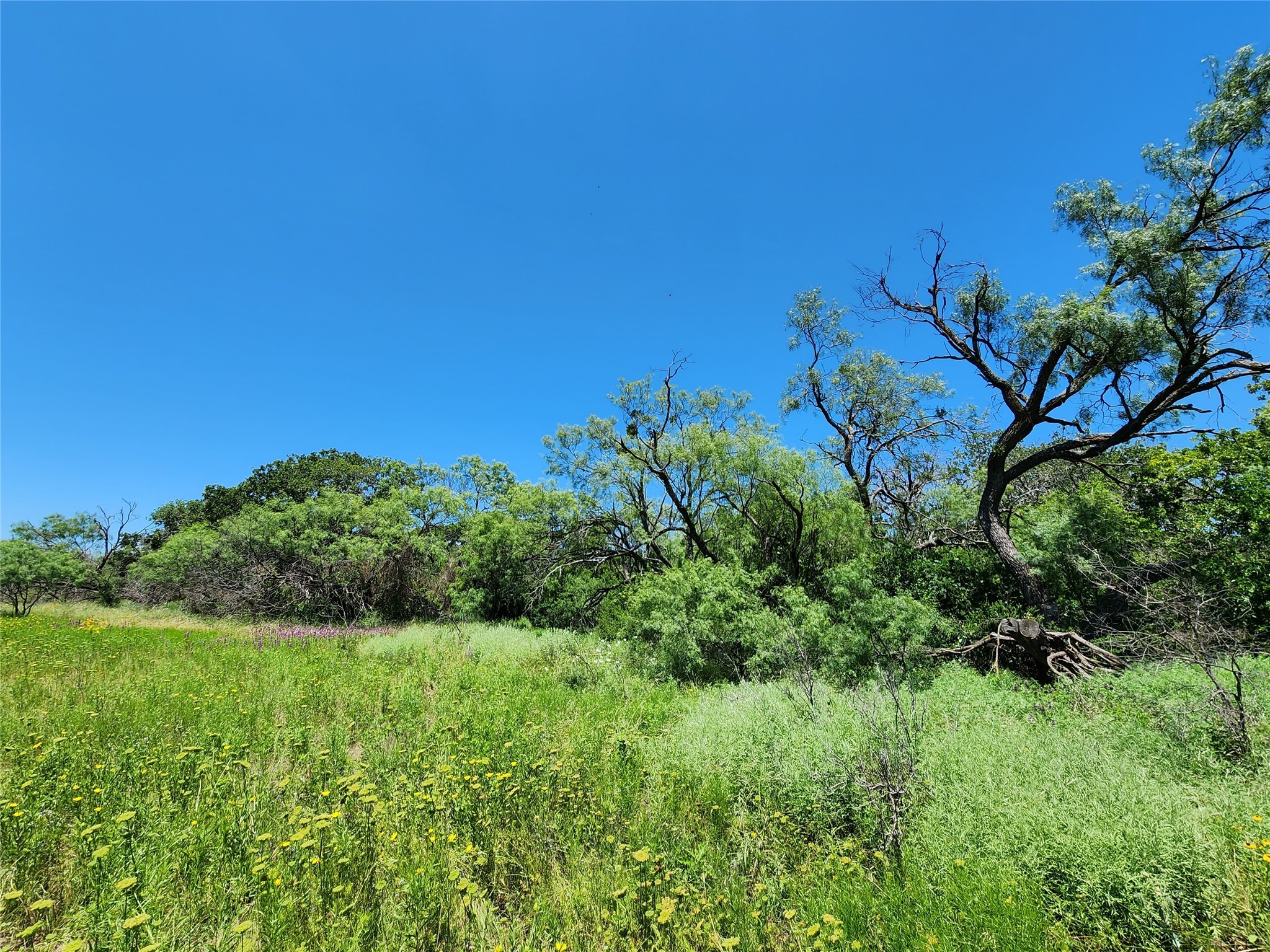 Tbd County Road 127 Rising Star TX 76471