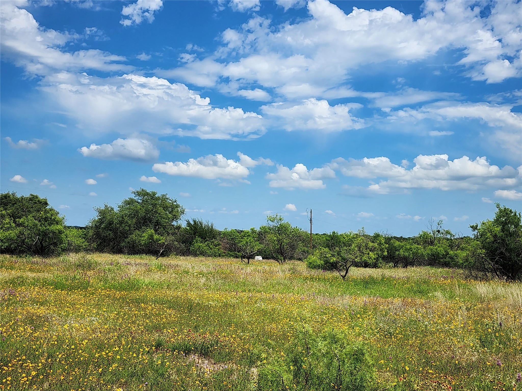 Tbd County Road 127 Rising Star TX 76471