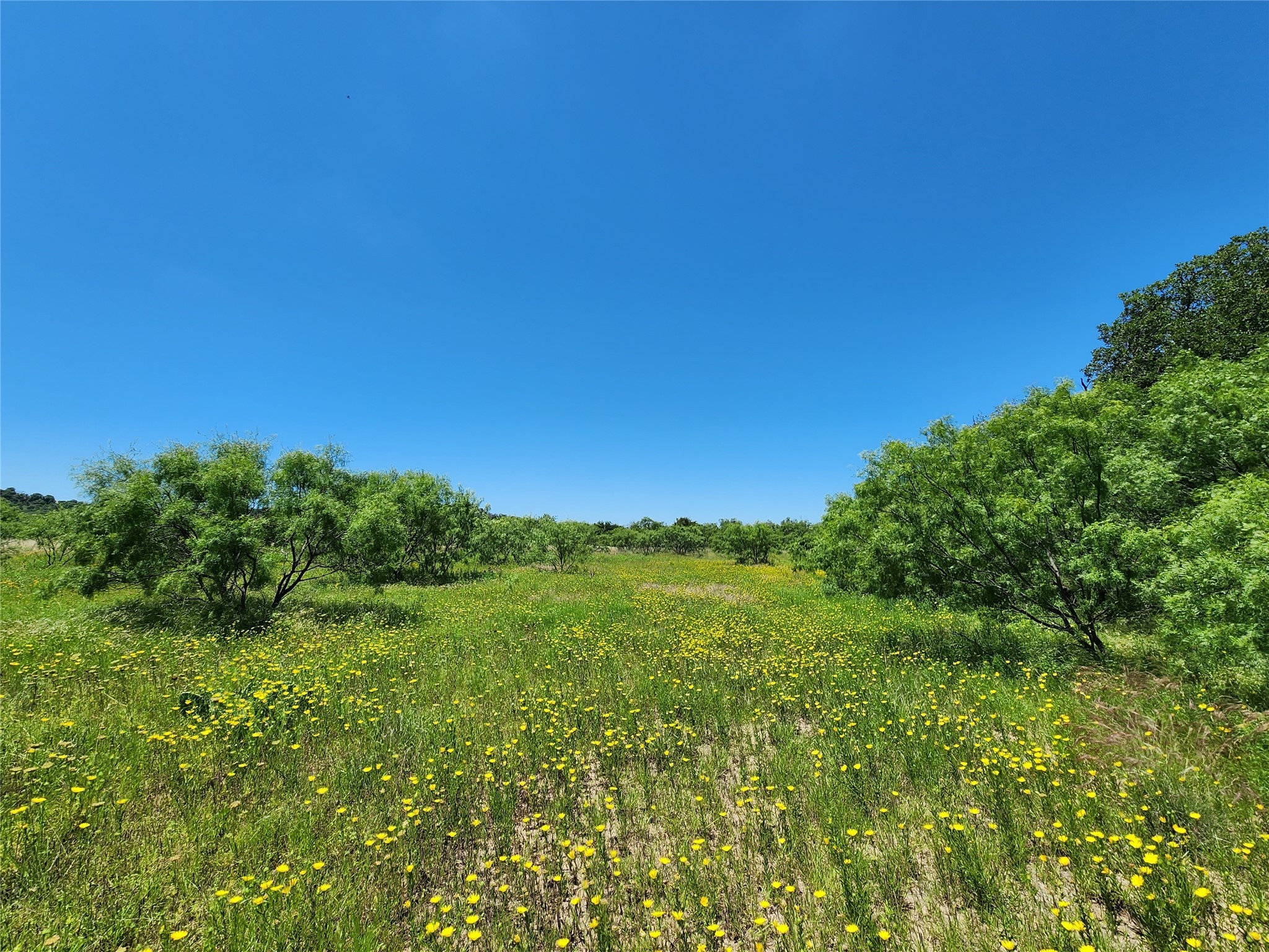 Tbd County Road 127 Rising Star TX 76471