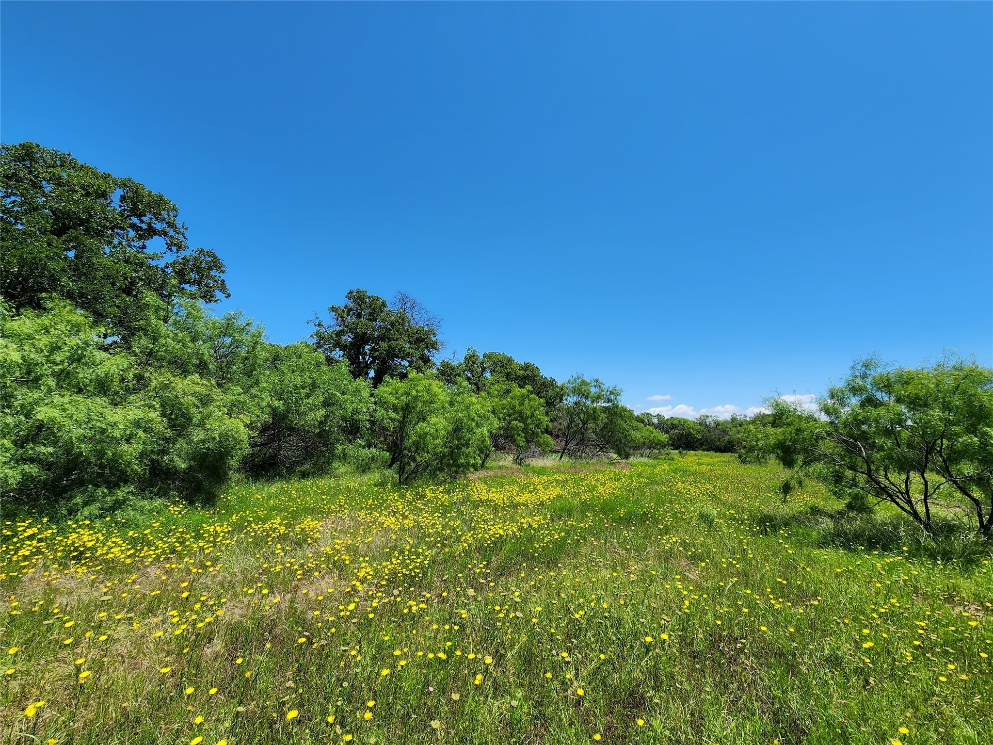 Tbd County Road 127 Rising Star TX 76471