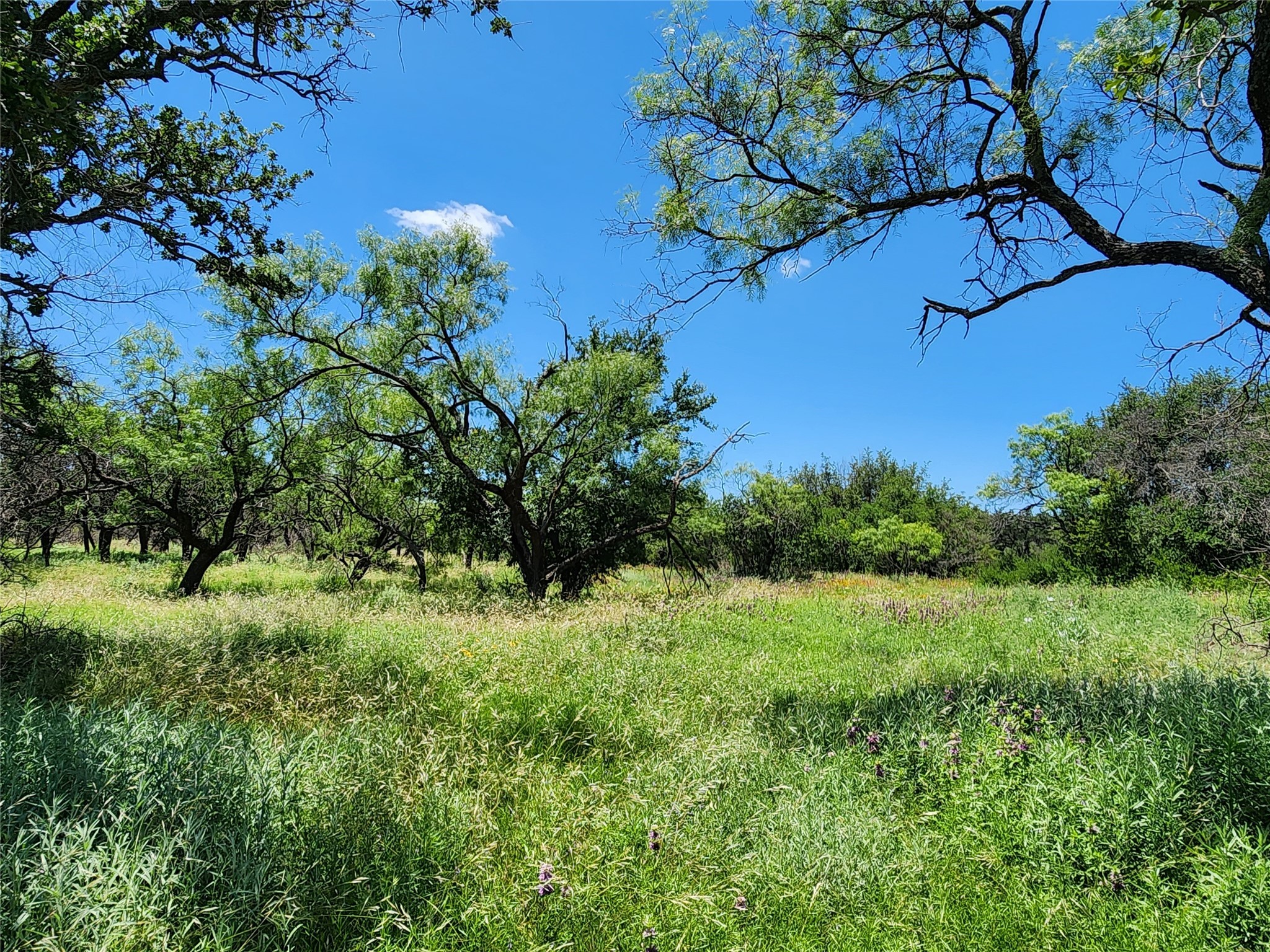Tbd County Road 127 Rising Star TX 76471