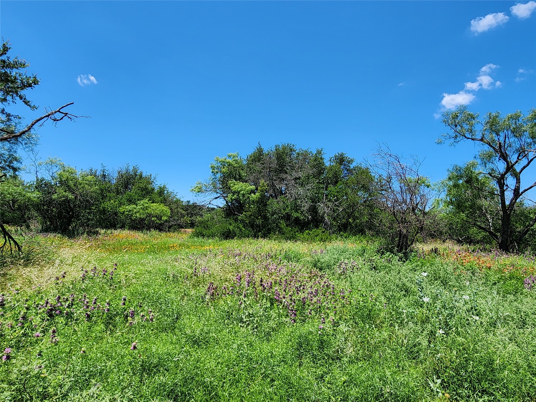 Tbd County Road 127 Rising Star TX 76471