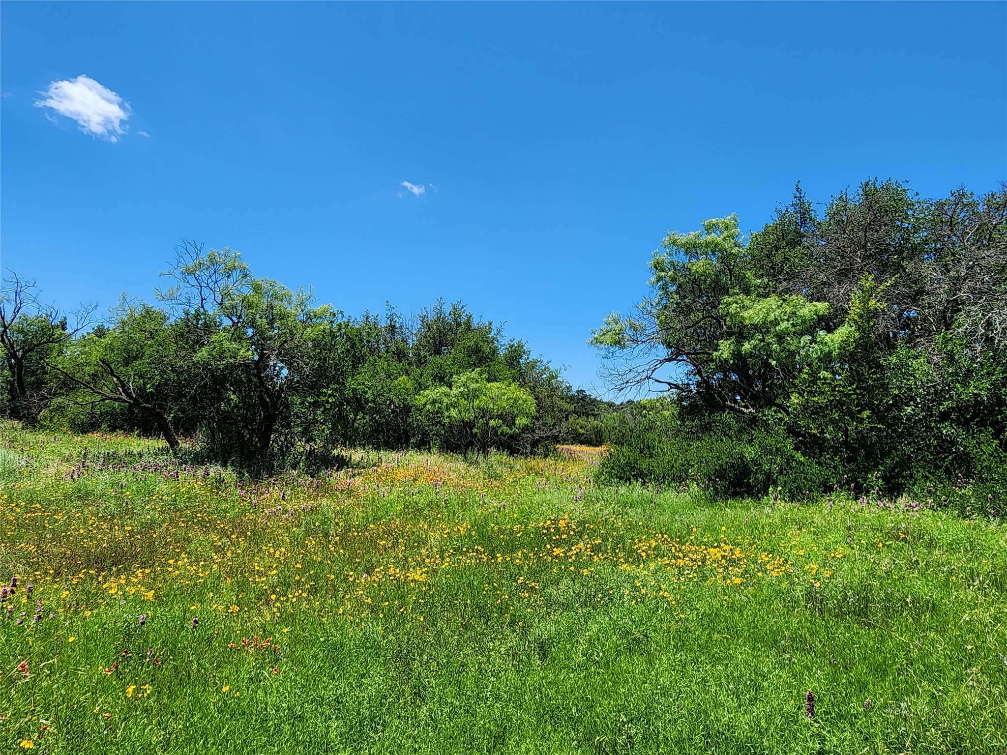 Tbd County Road 127 Rising Star TX 76471