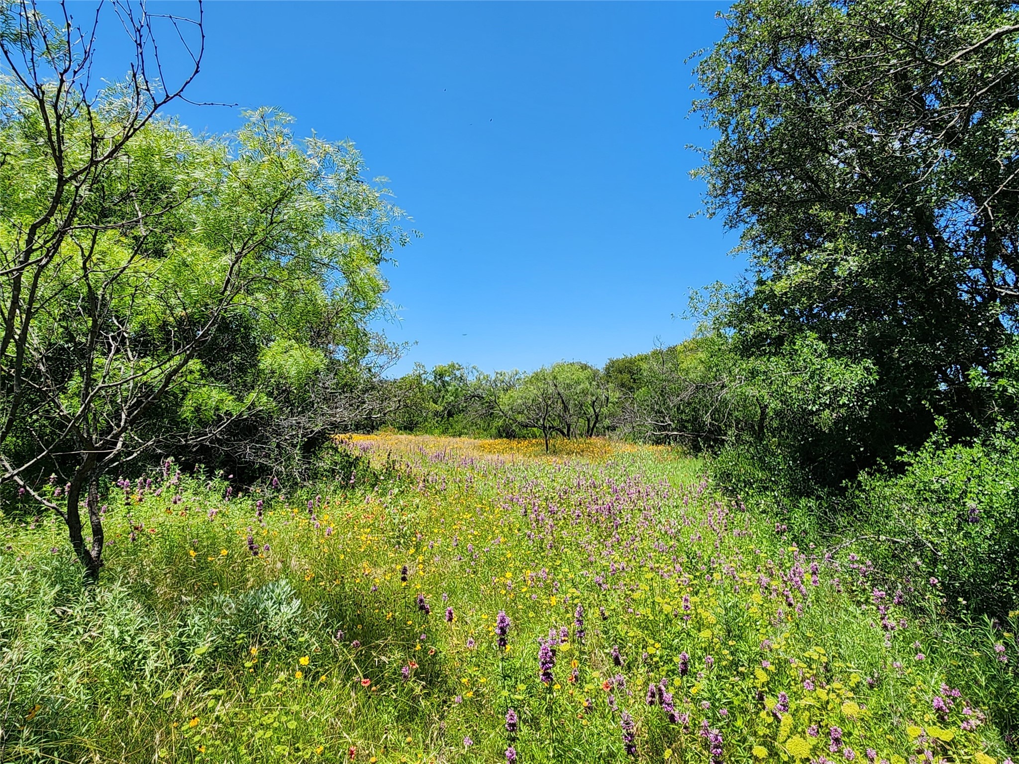 Tbd County Road 127 Rising Star TX 76471