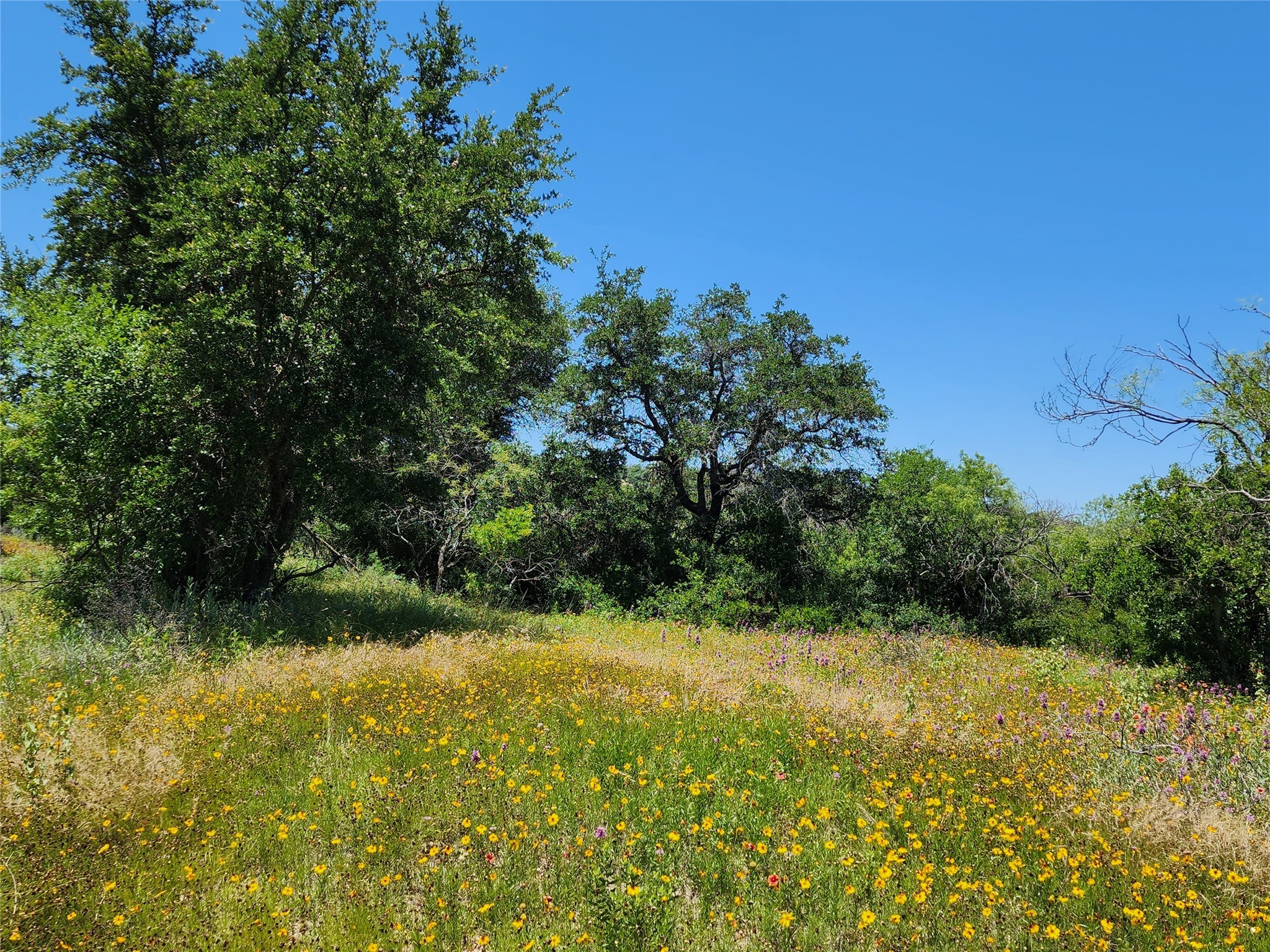 Tbd County Road 127 Rising Star TX 76471