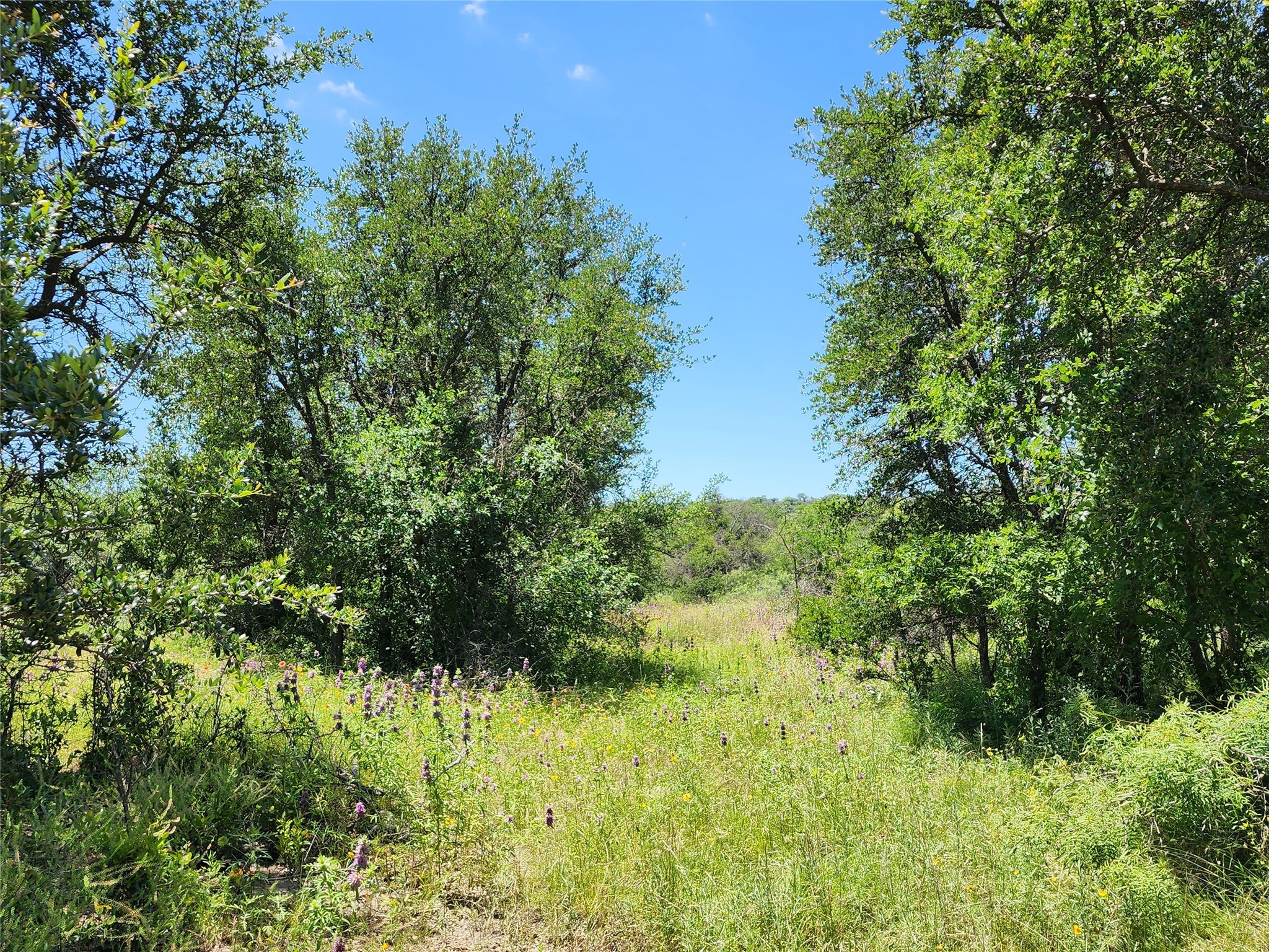 Tbd County Road 127 Rising Star TX 76471