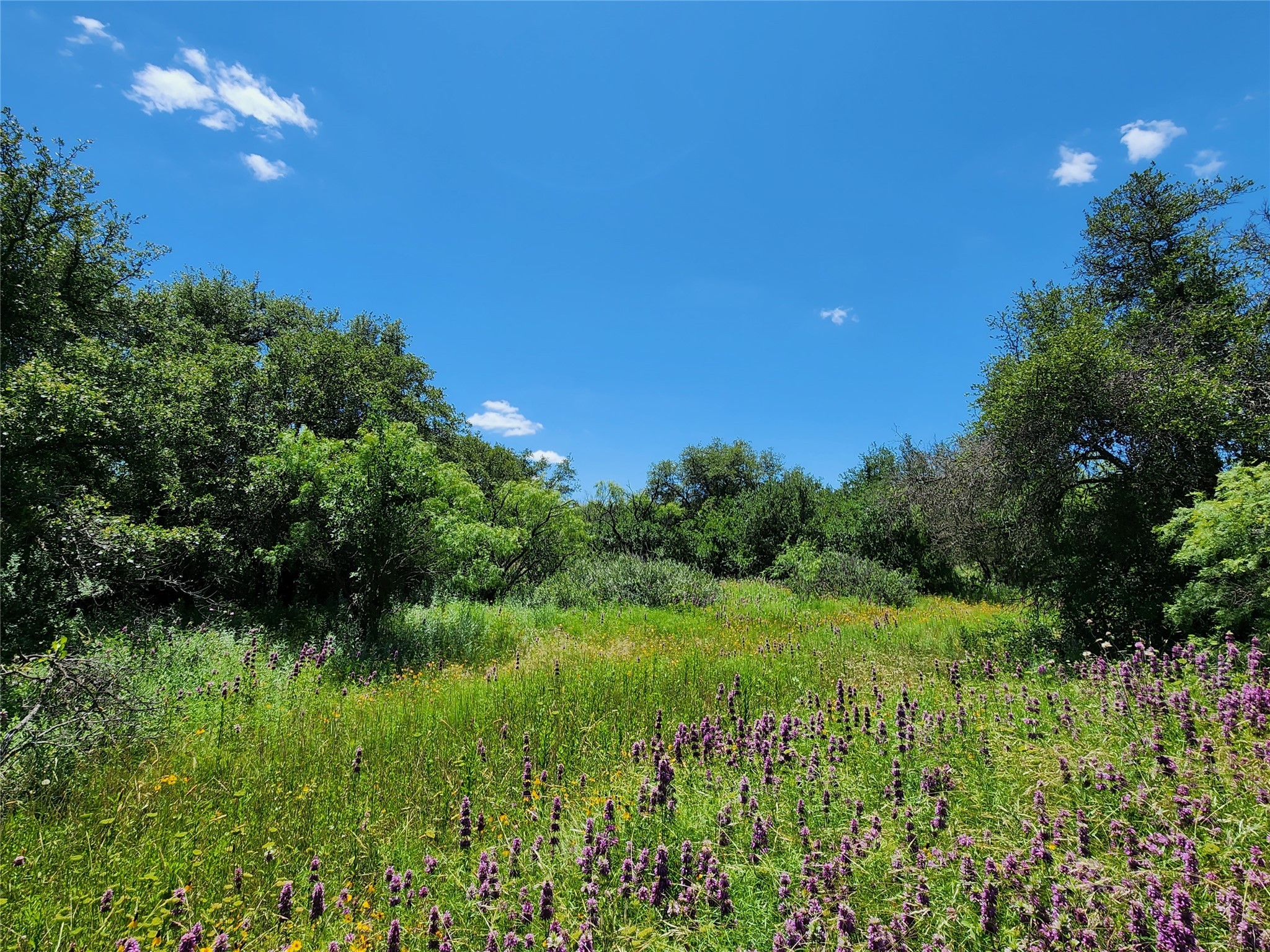 Tbd County Road 127 Rising Star TX 76471