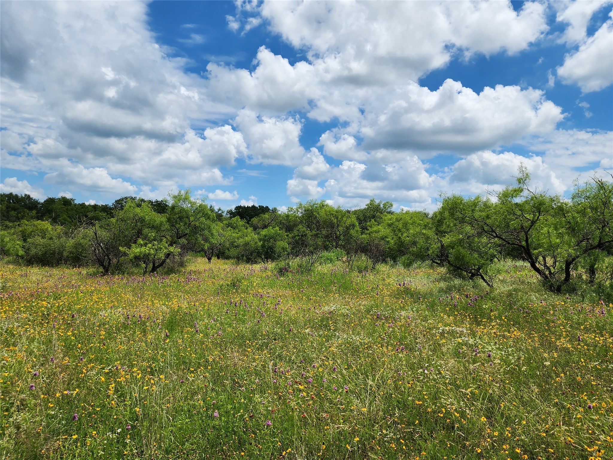 Tbd County Road 127 Rising Star TX 76471
