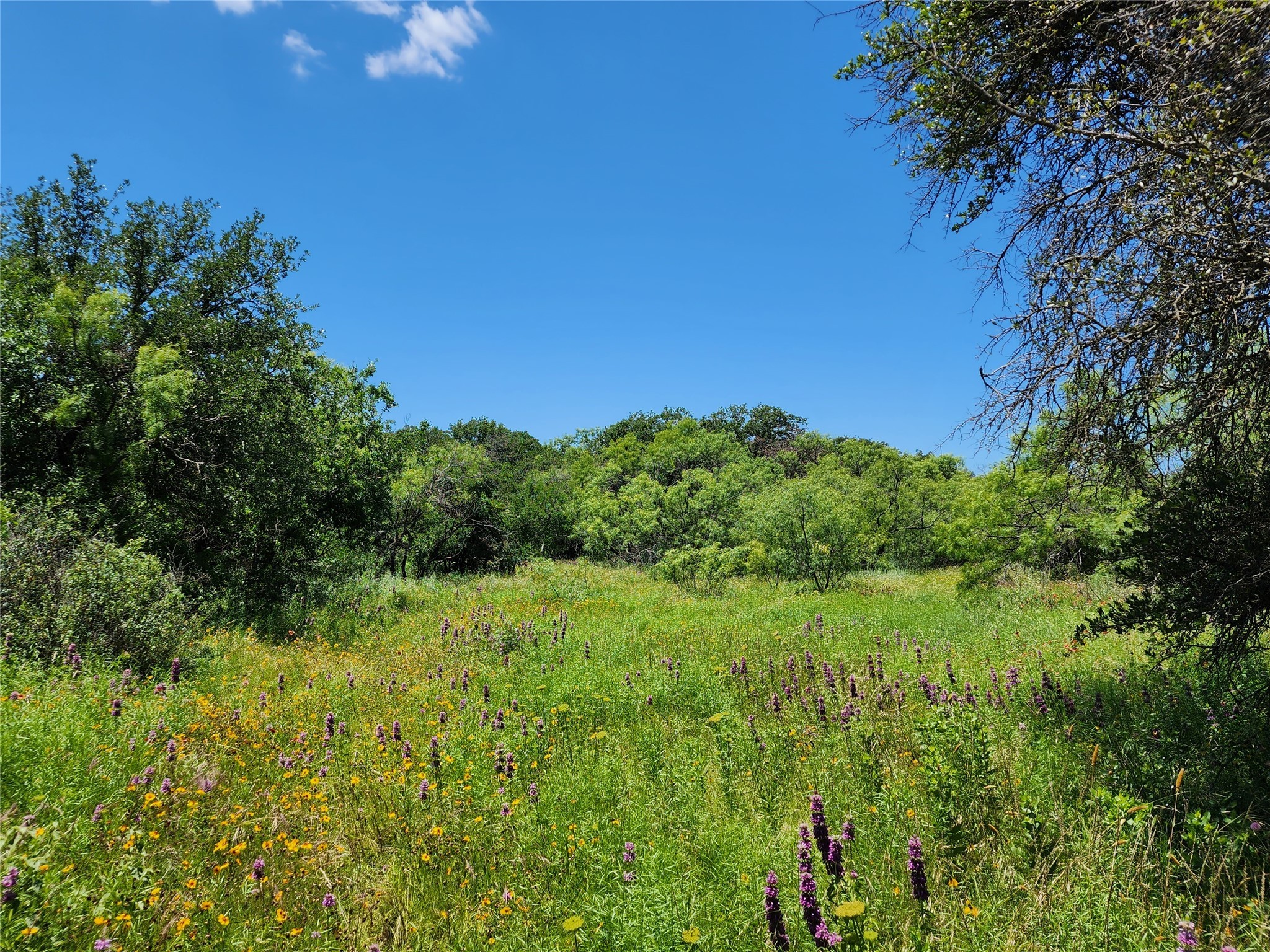 Tbd County Road 127 Rising Star TX 76471