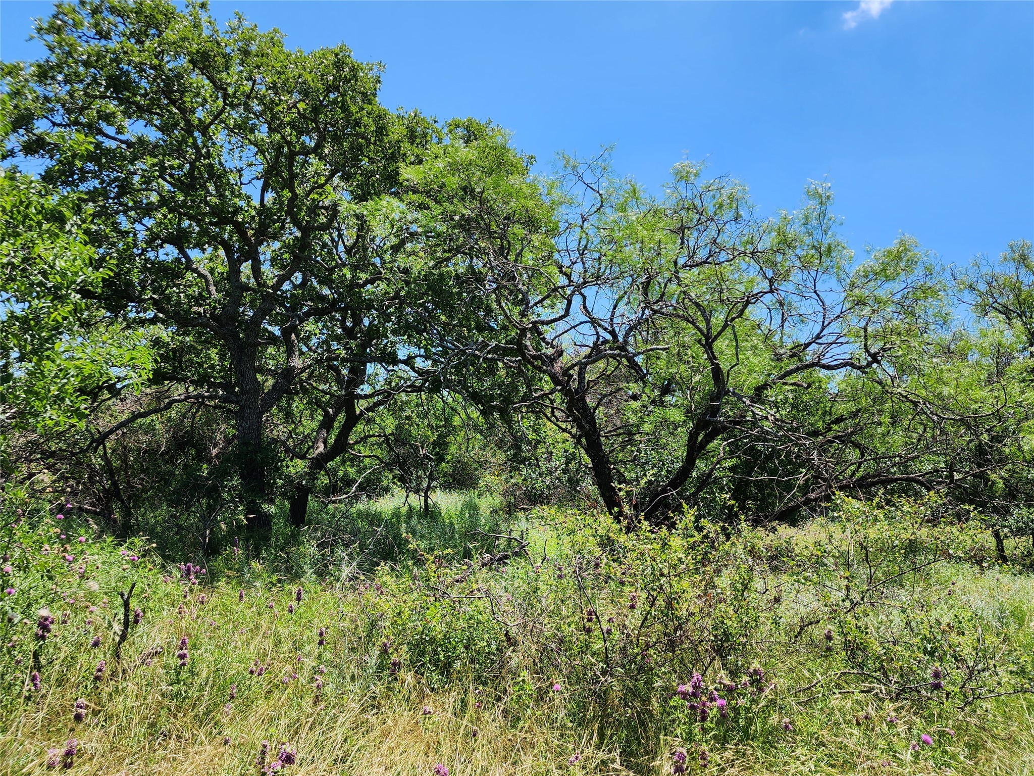 Tbd County Road 127 Rising Star TX 76471