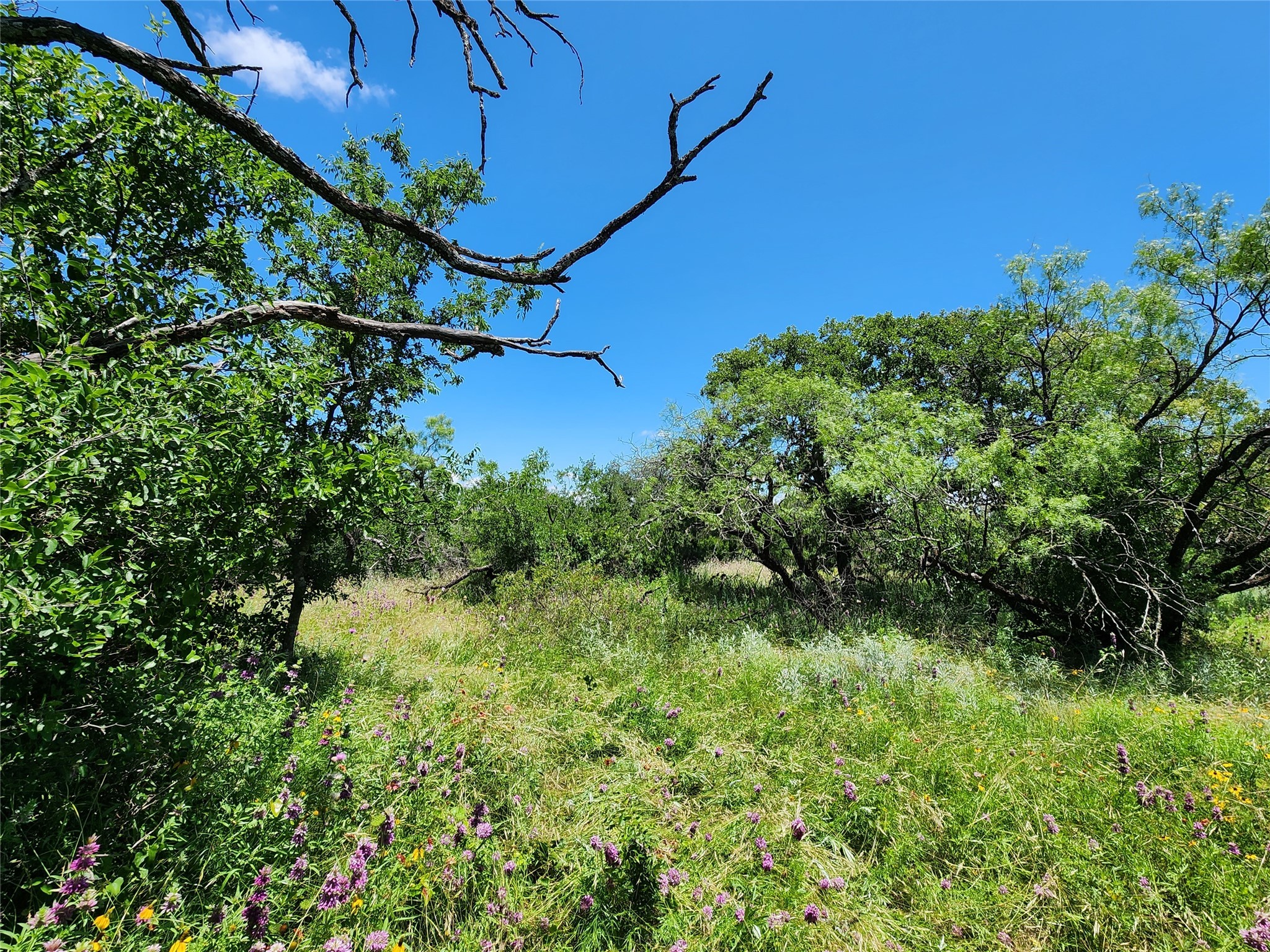 Tbd County Road 127 Rising Star TX 76471