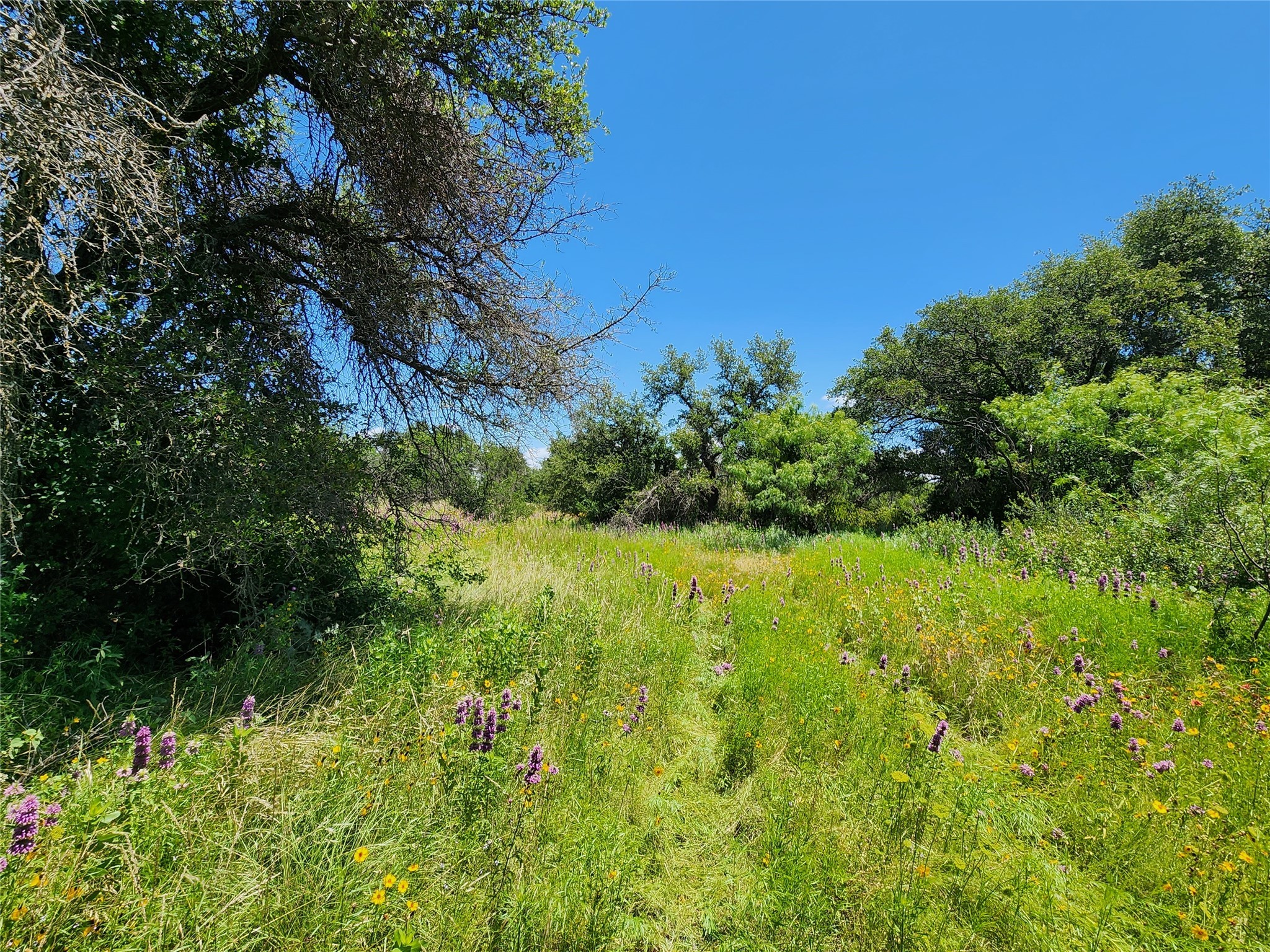 Tbd County Road 127 Rising Star TX 76471