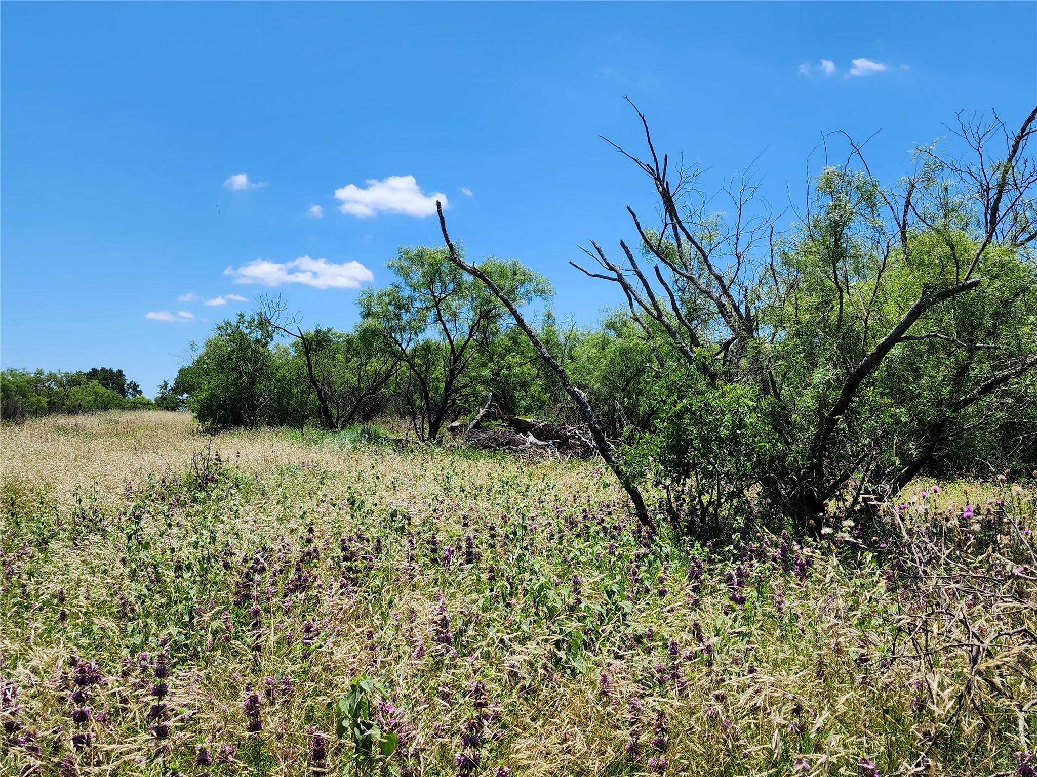 Tbd County Road 127 Rising Star TX 76471