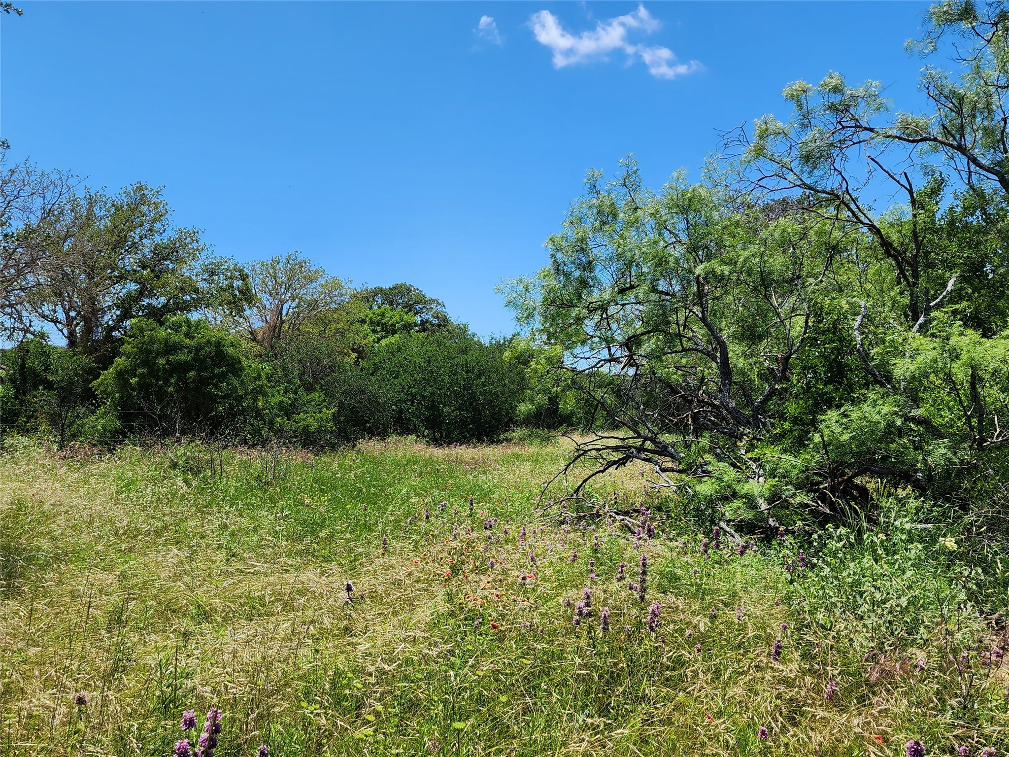 Tbd County Road 127 Rising Star TX 76471