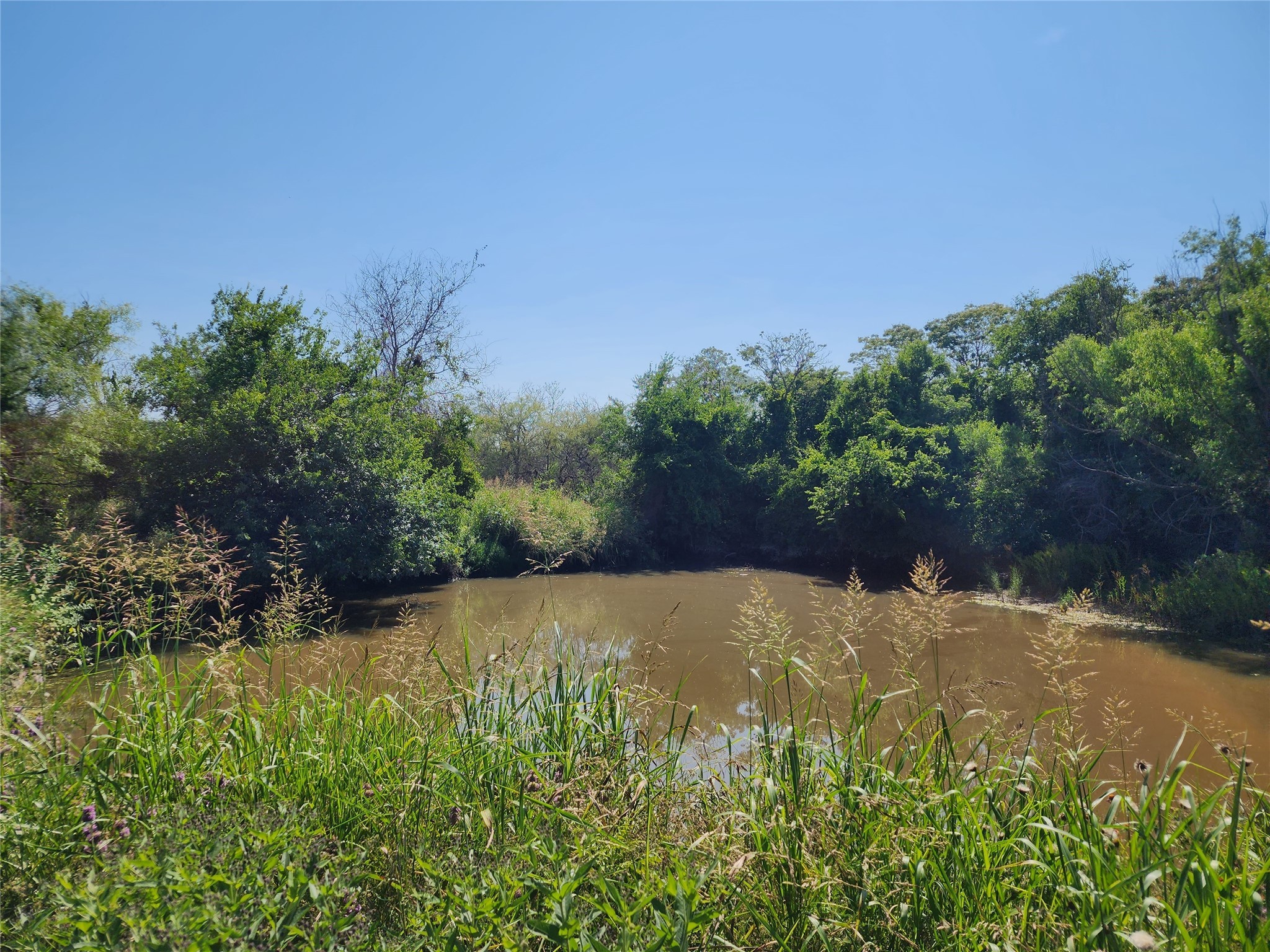 Tbd County Road 127 Rising Star TX 76471