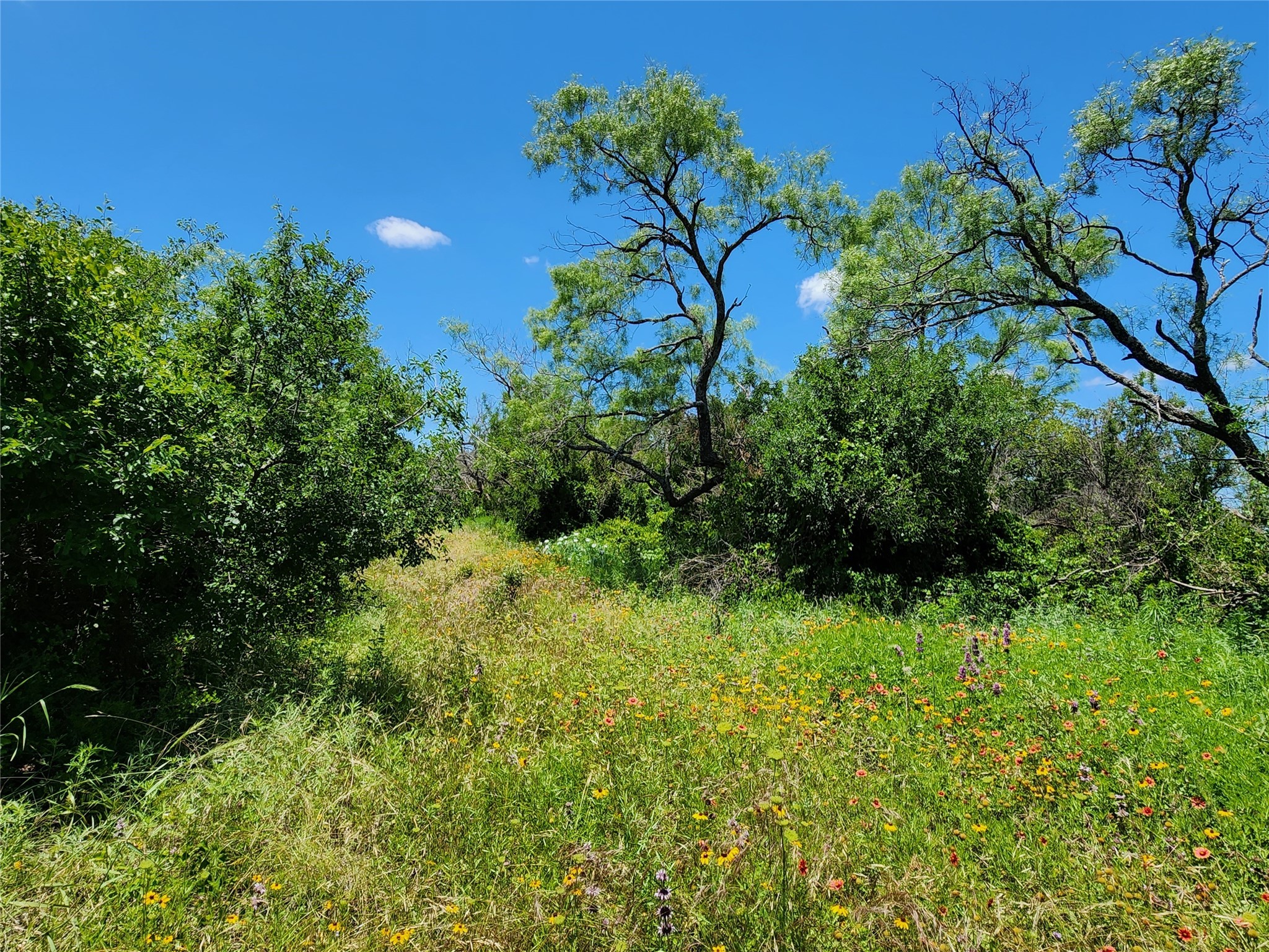 Tbd County Road 127 Rising Star TX 76471