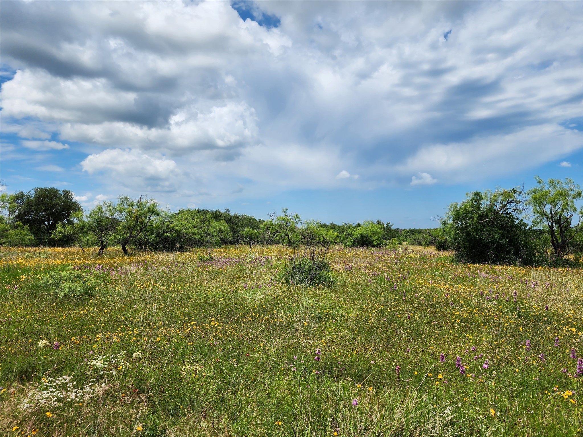 Tbd County Road 127 Rising Star TX 76471