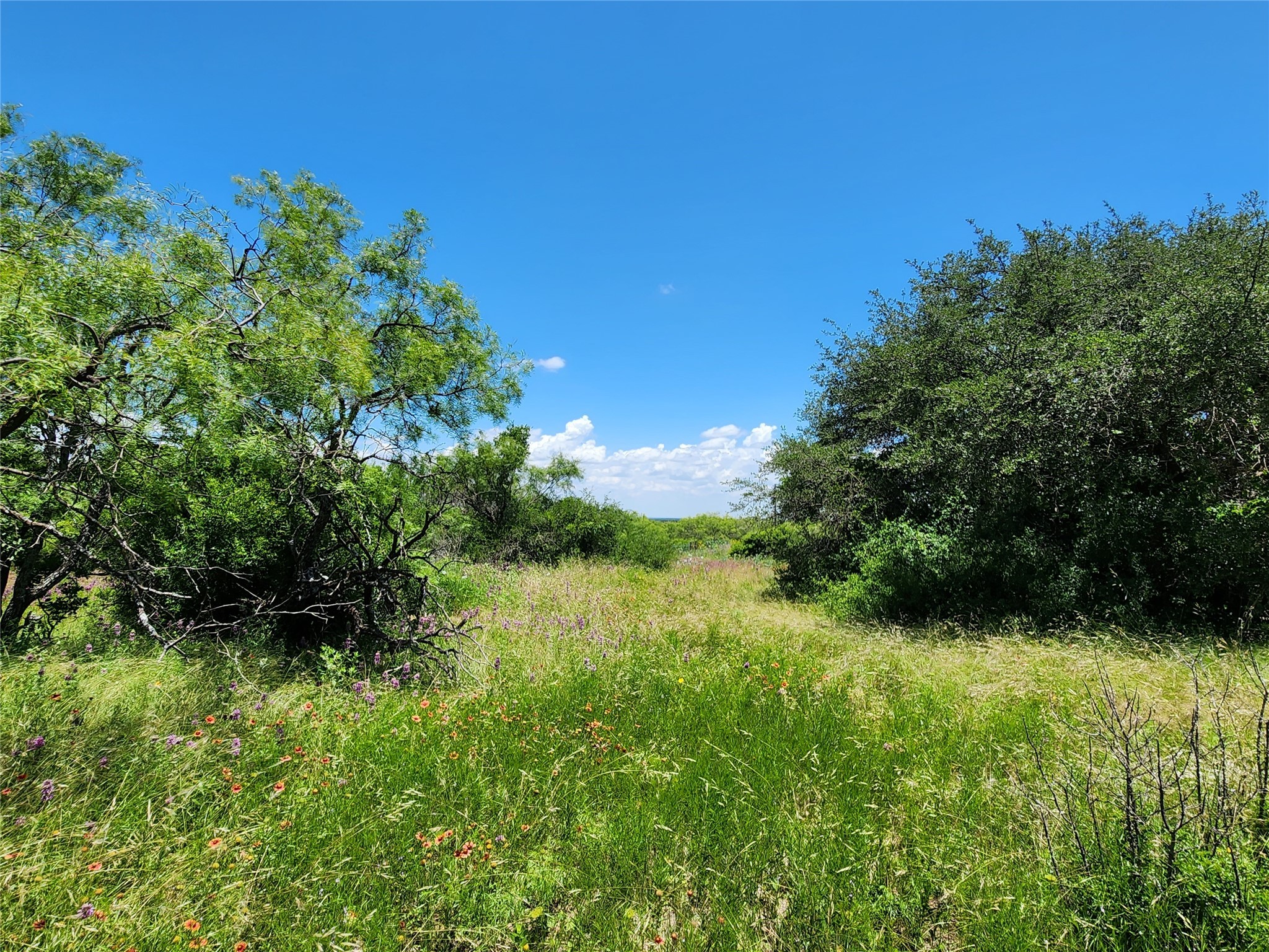 Tbd County Road 127 Rising Star TX 76471
