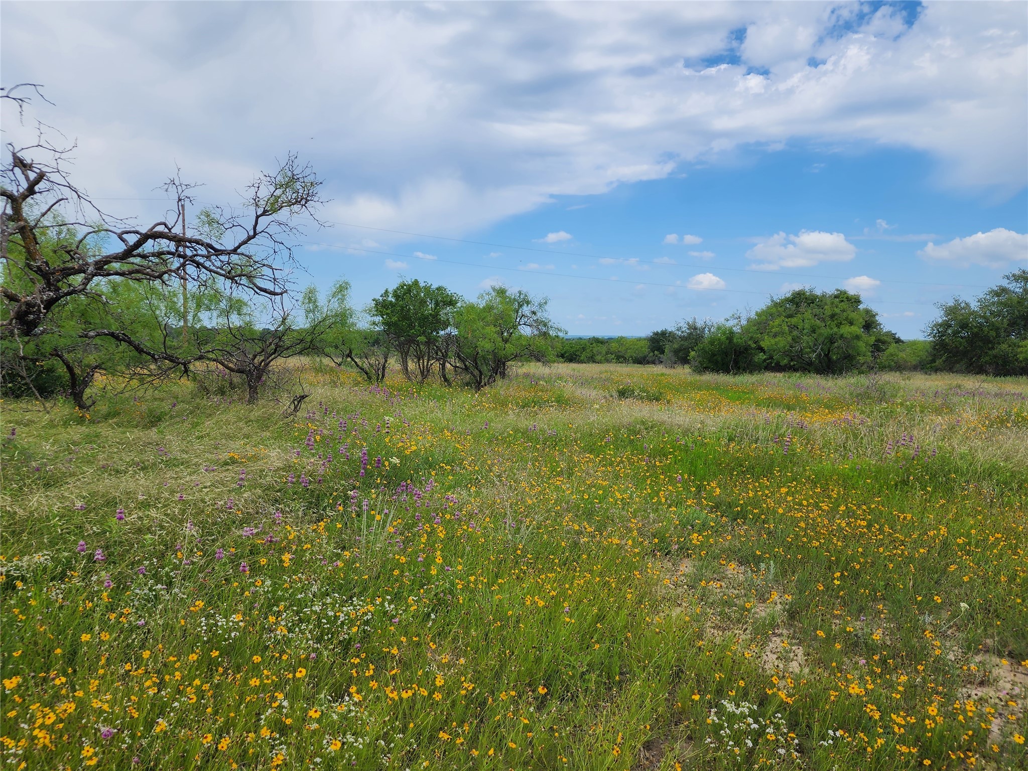 Tbd County Road 127 Rising Star TX 76471