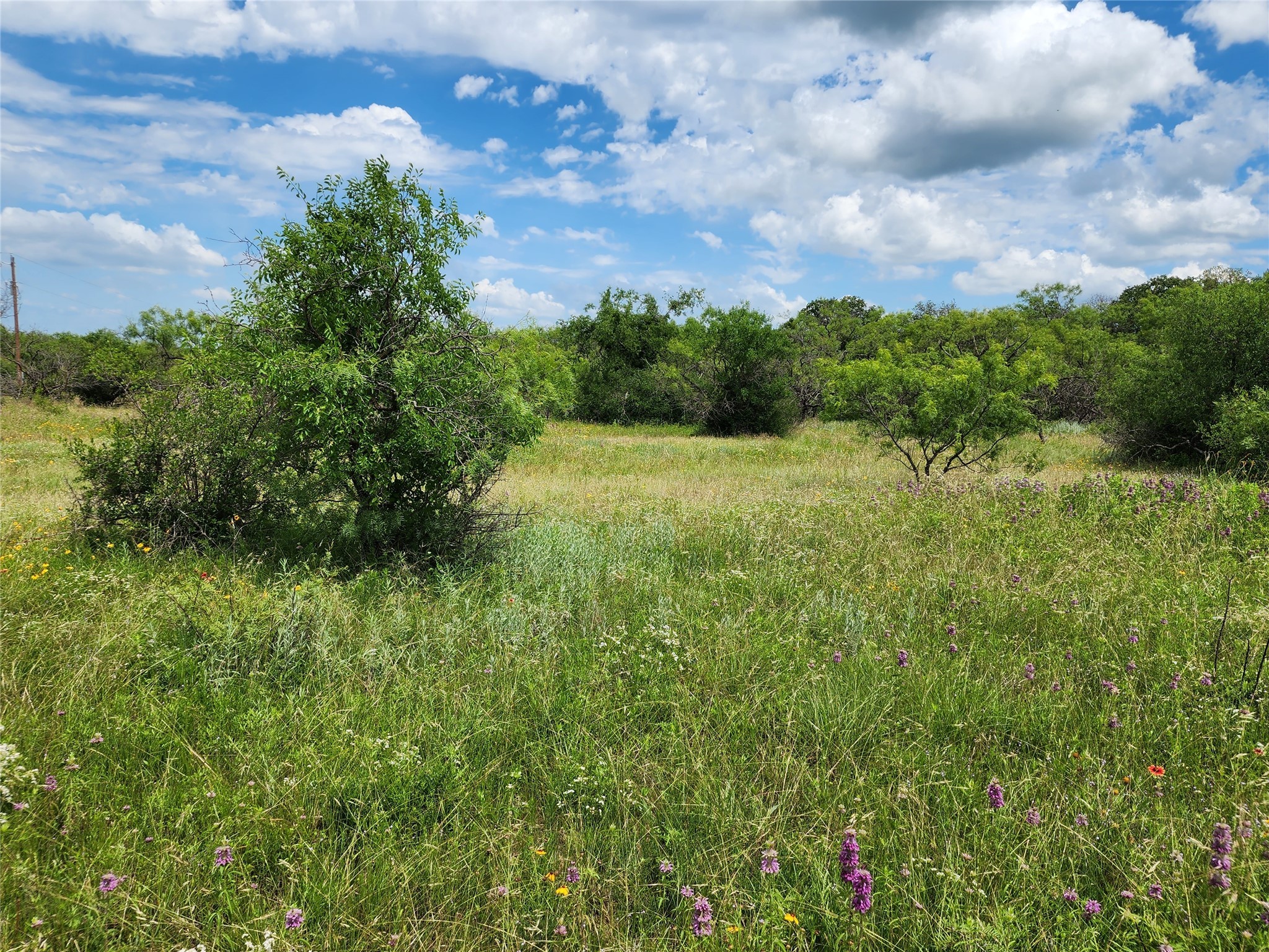 Tbd County Road 127 Rising Star TX 76471