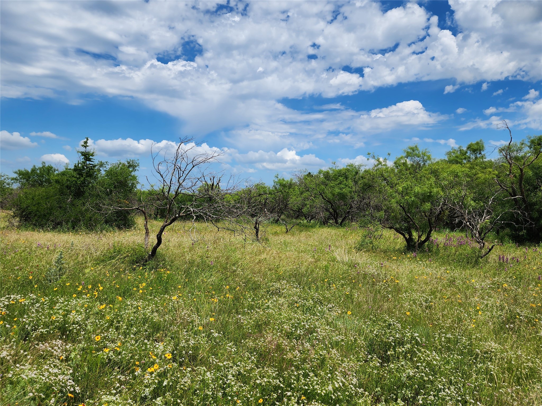 Tbd County Road 127 Rising Star TX 76471