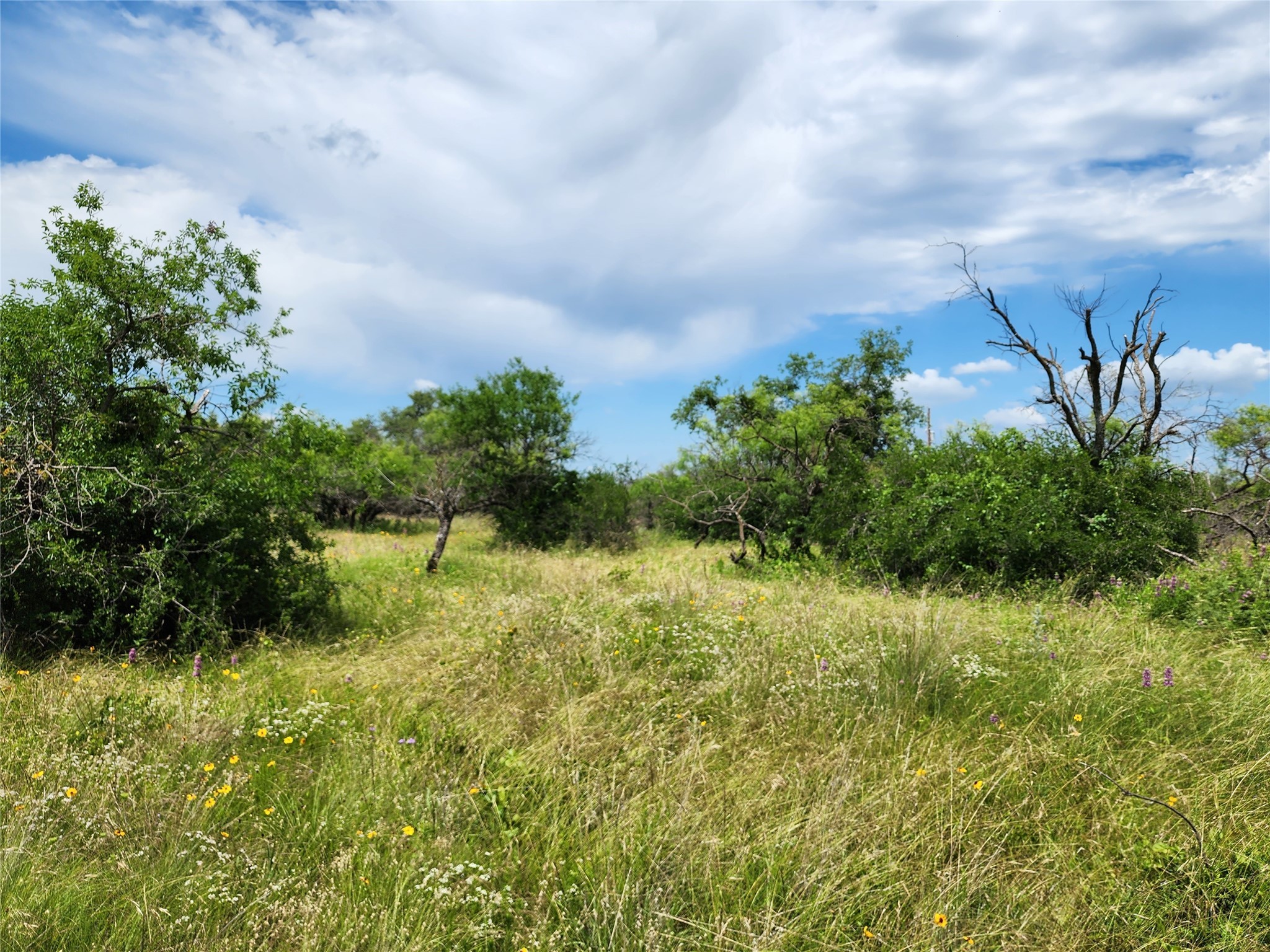 Tbd County Road 127 Rising Star TX 76471