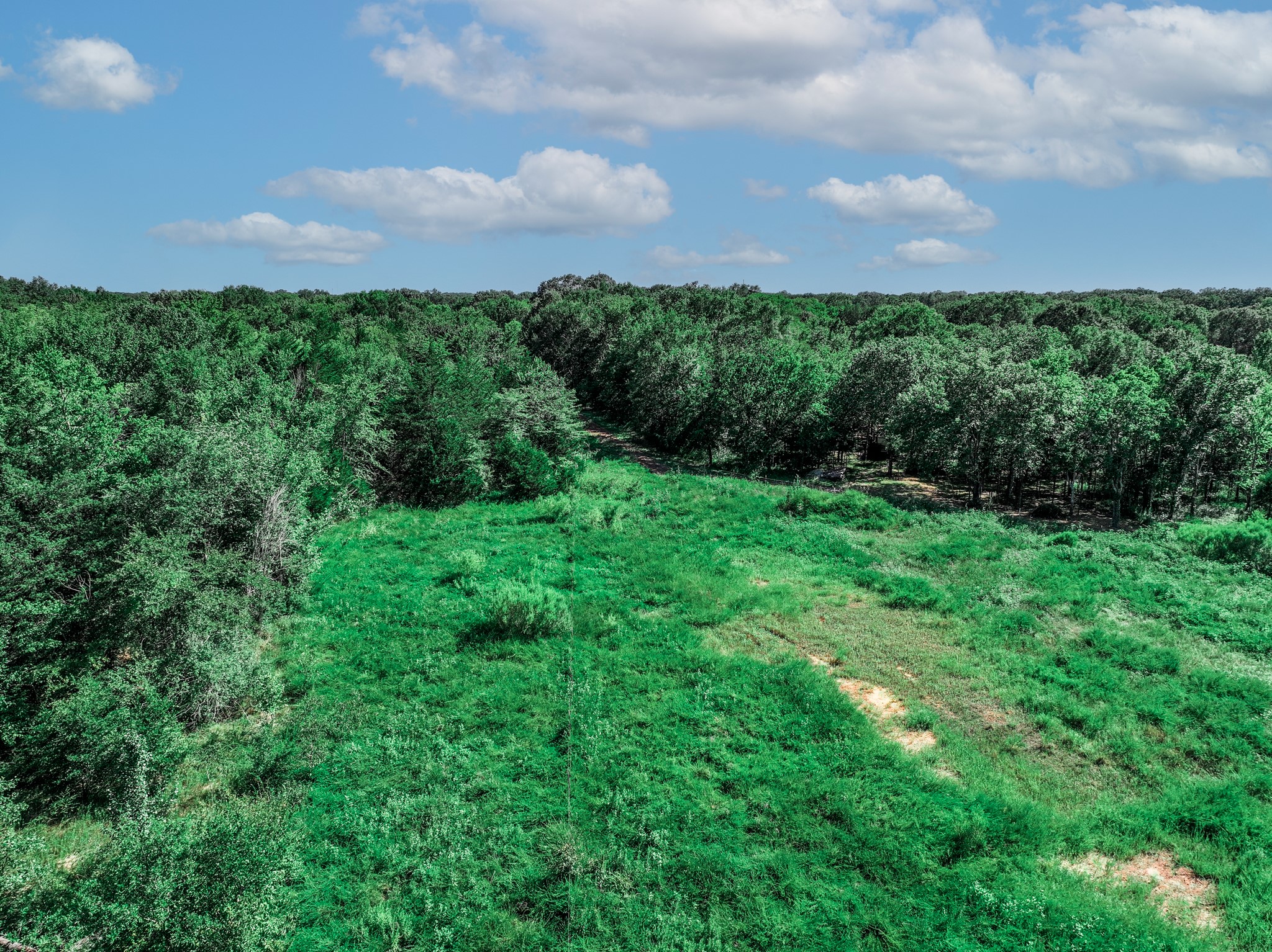 Tbd County Road 1909 Canton TX 75117