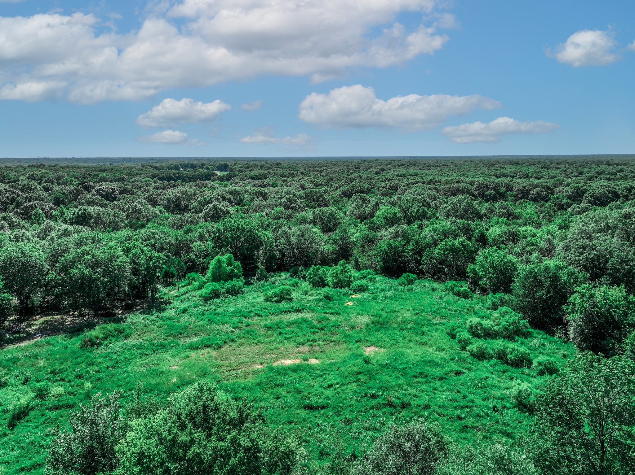 Tbd County Road 1909 Canton TX 75117