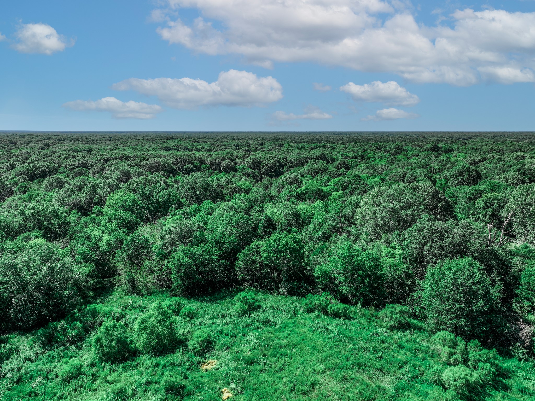 Tbd County Road 1909 Canton TX 75117