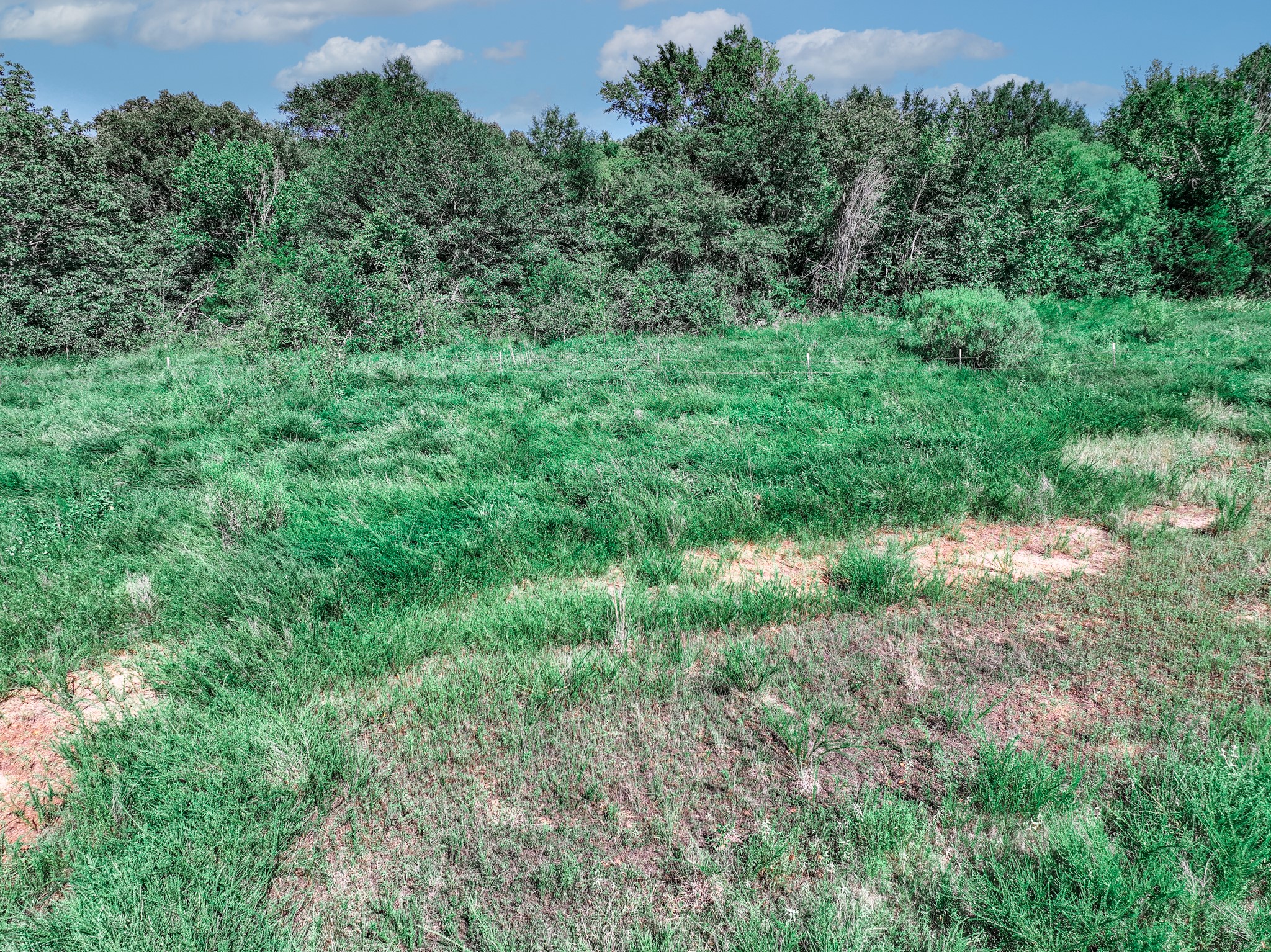 Tbd County Road 1909 Canton TX 75117