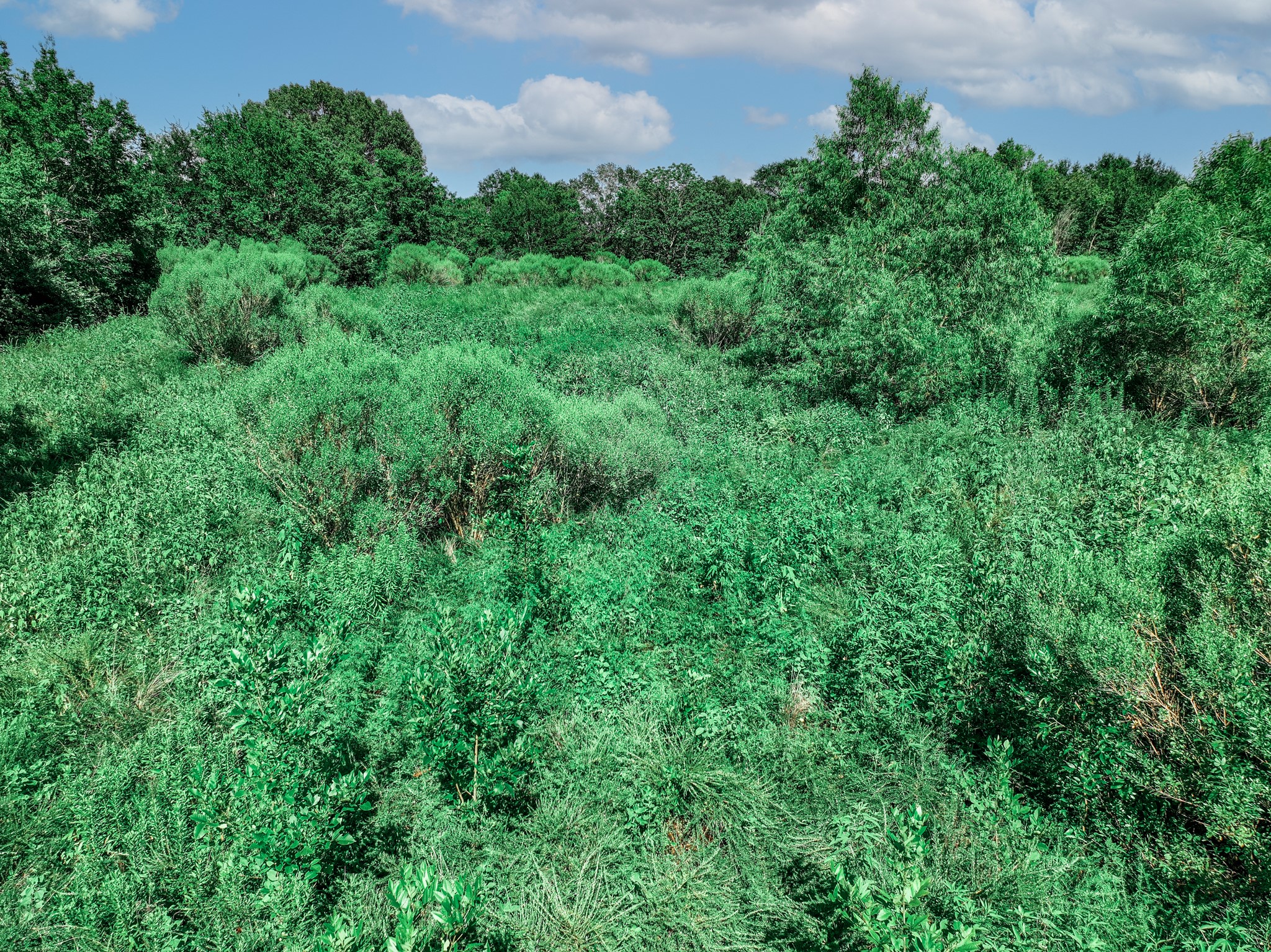 Tbd County Road 1909 Canton TX 75117